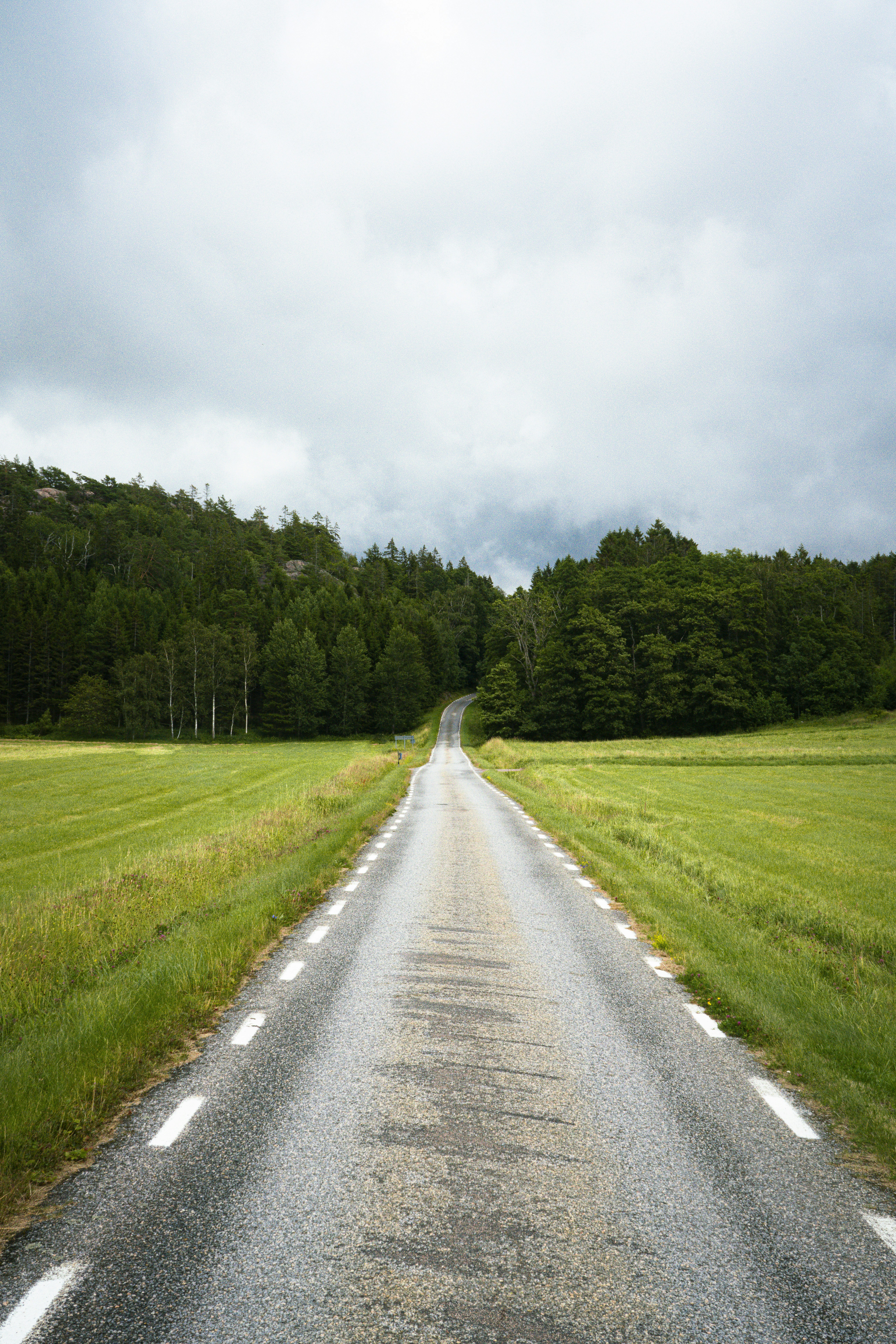 An empty road in the middle of a grassy field photo – Free Land Image ...