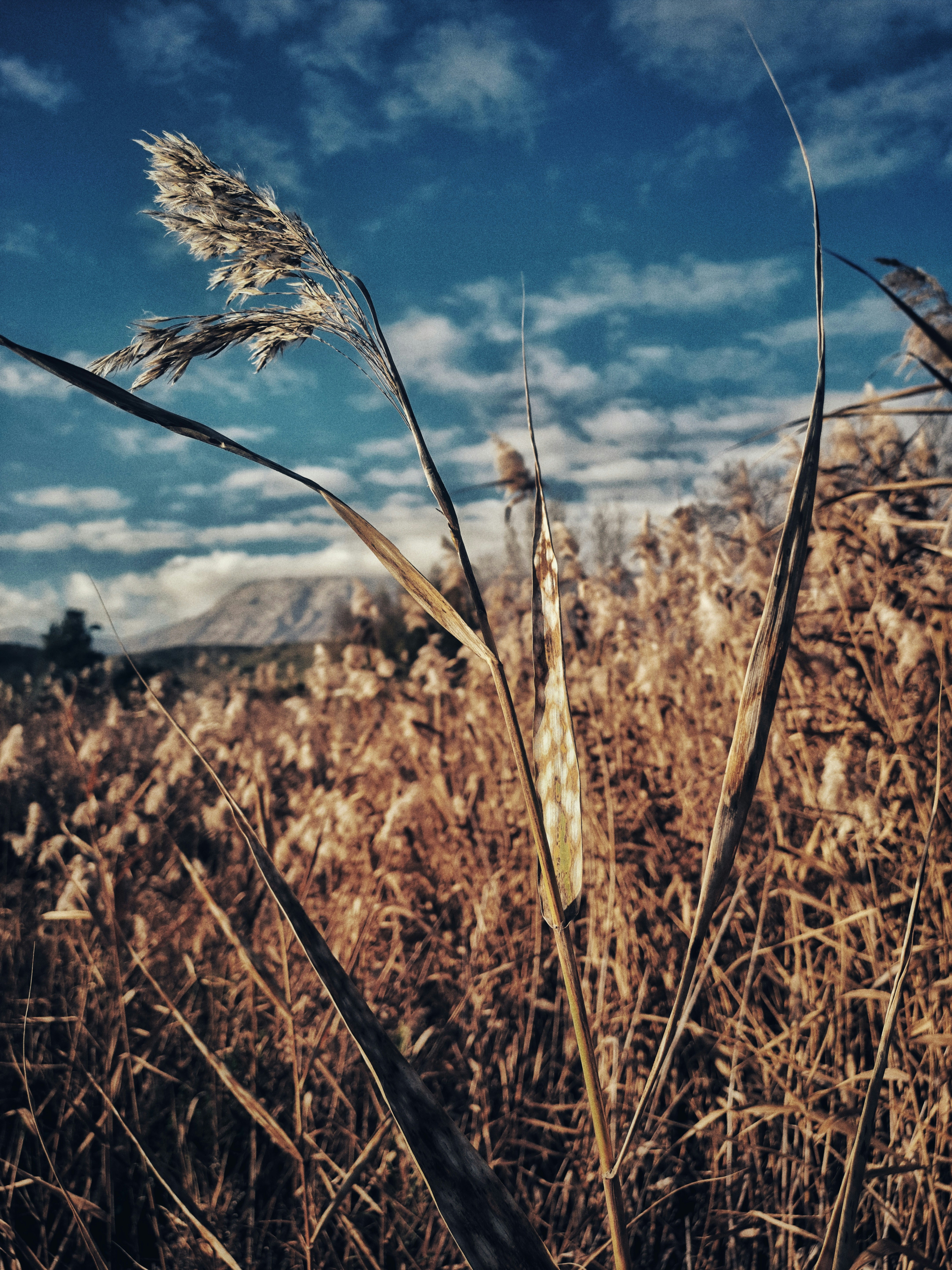 Photo by colouredmuseum