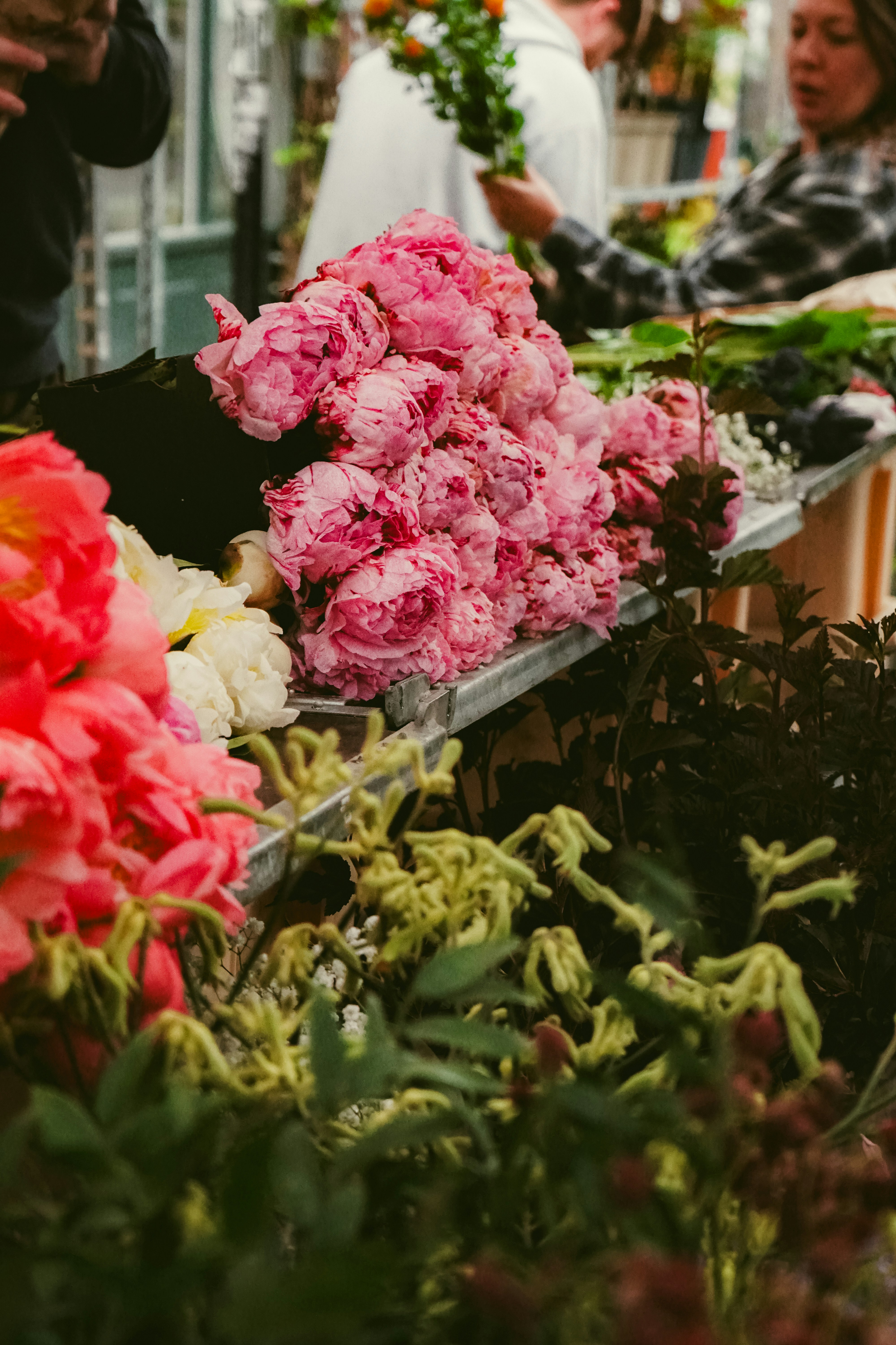 화려한 날들 줄거리 관련 이미지2