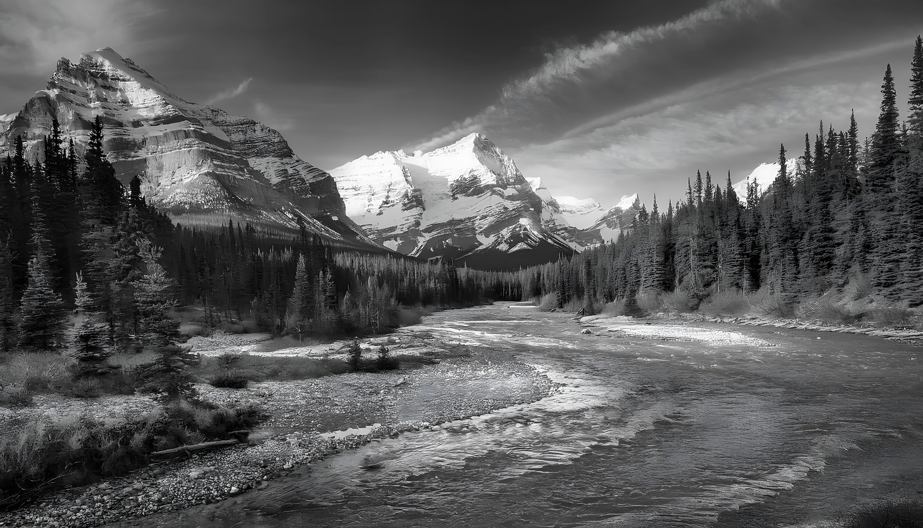 Photo by sunshine_coast