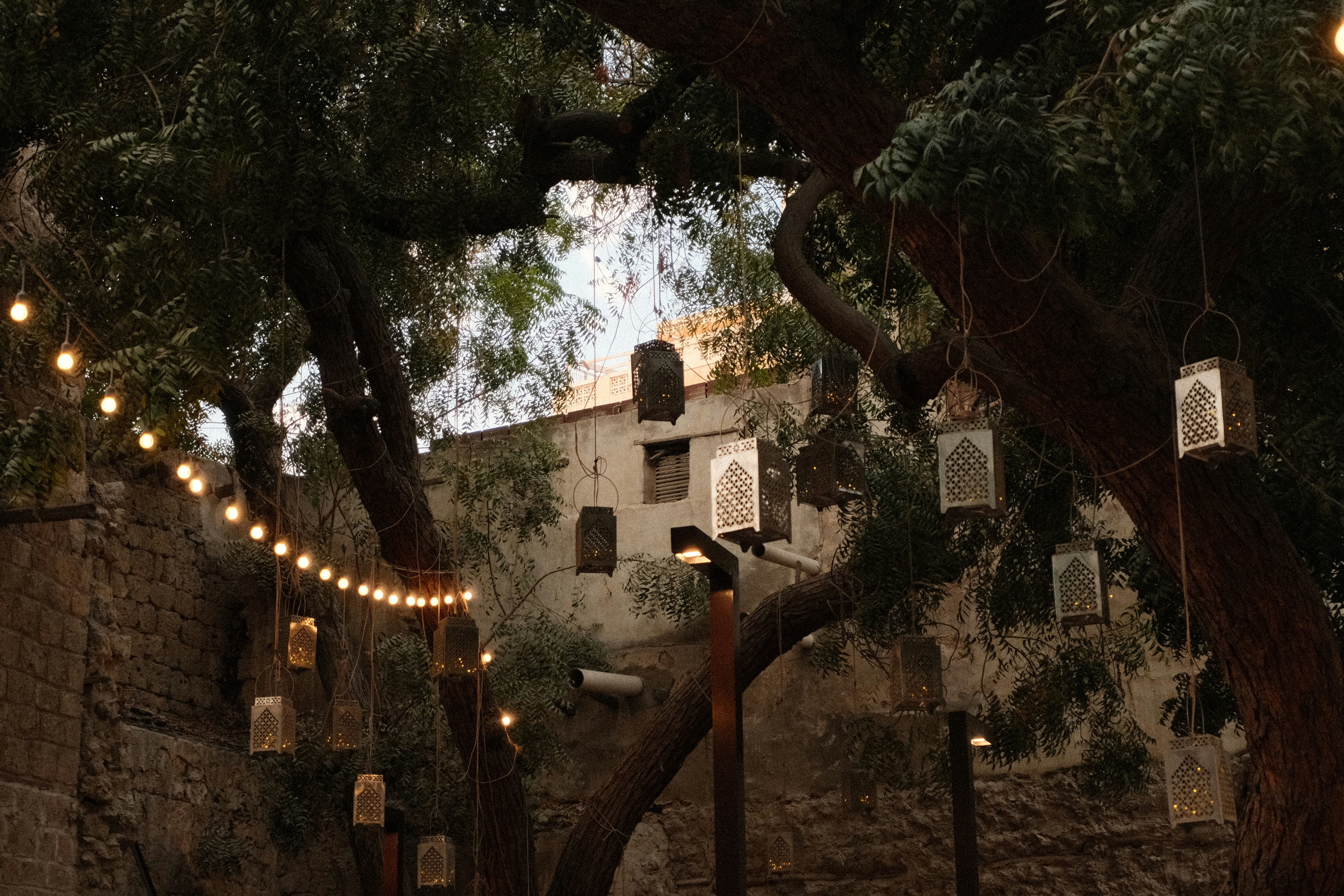 A tree that is next to a building