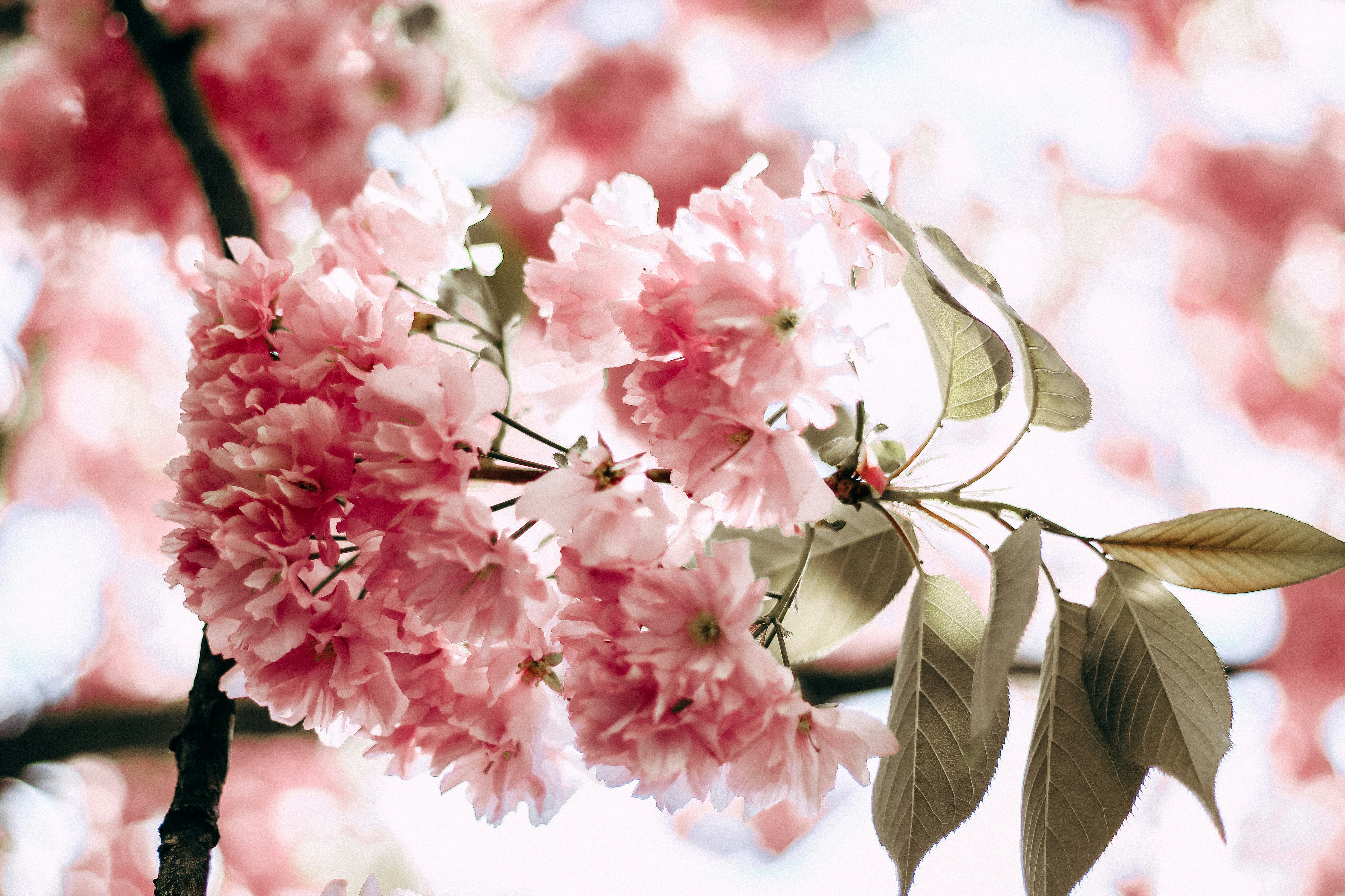 Photo by mineral_of_demon