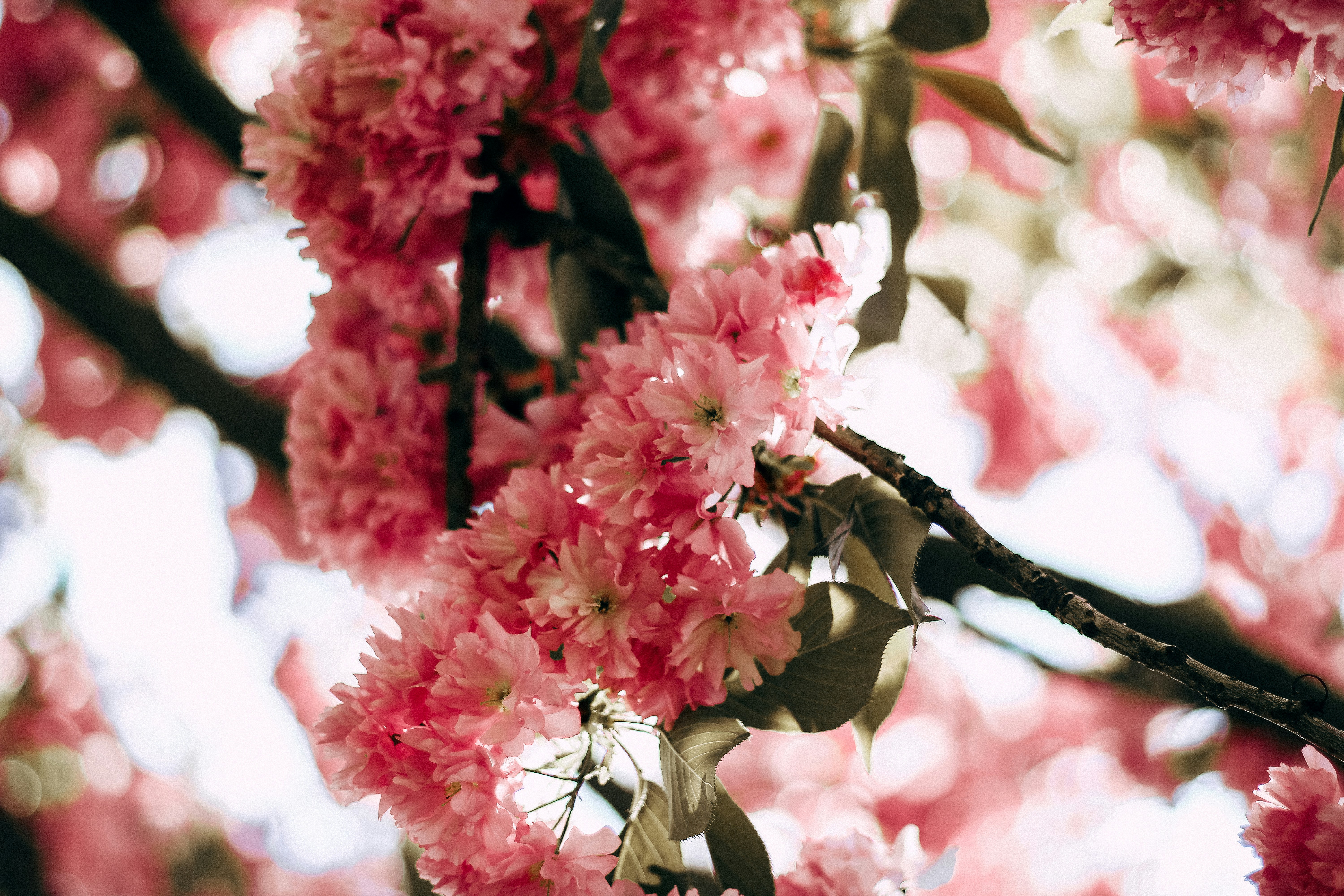 Photo by mineral_of_demon