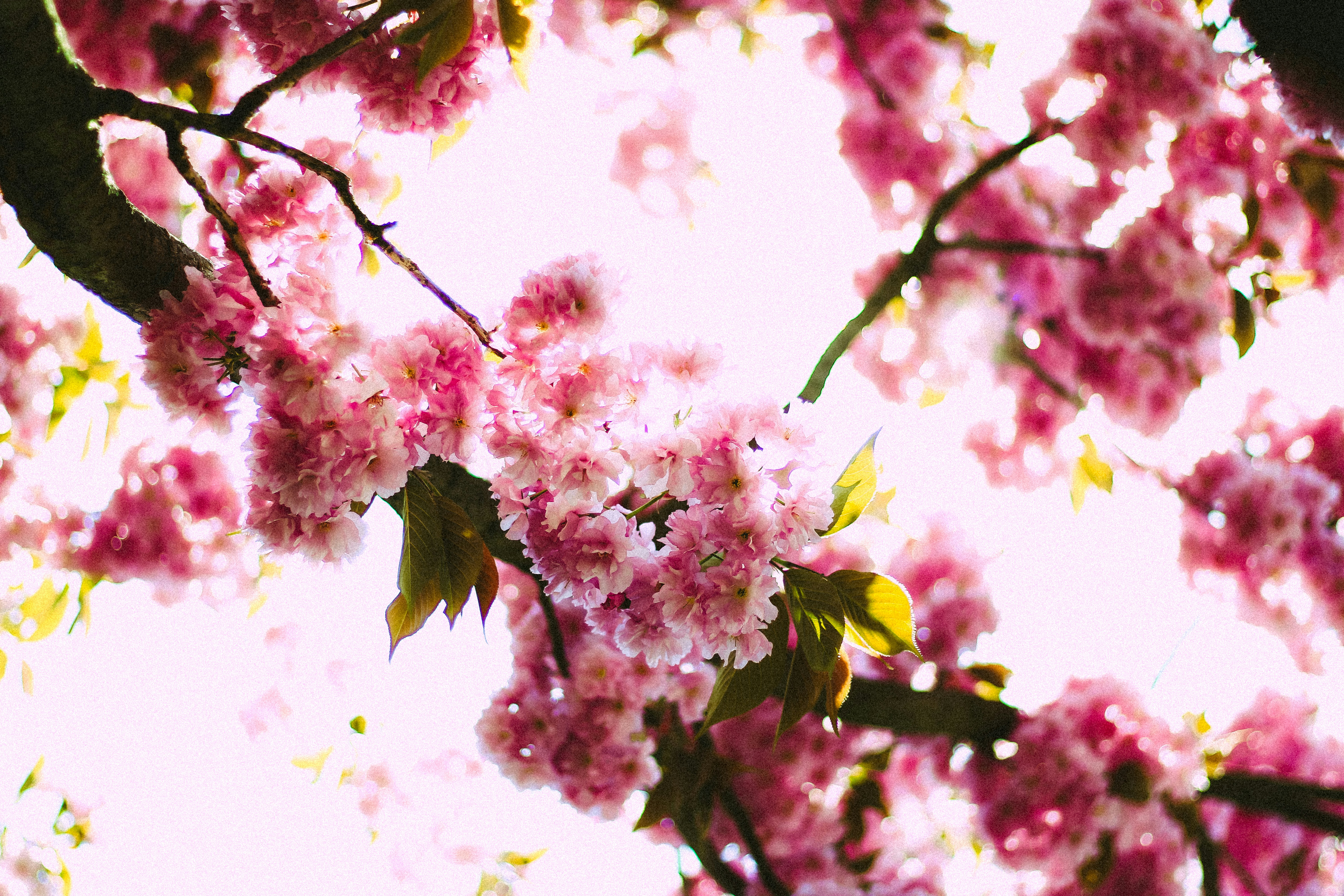 Photo by mineral_of_demon