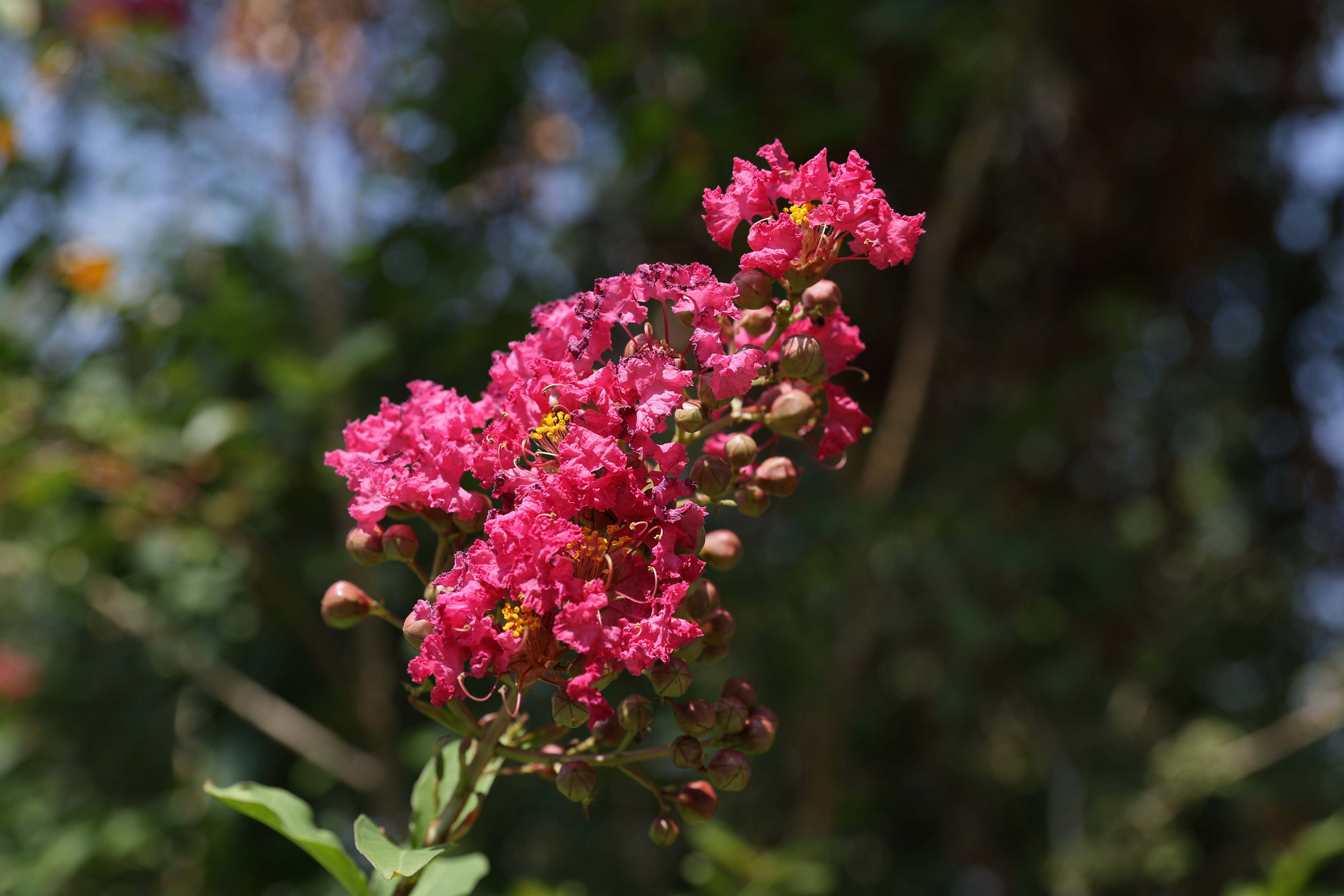 Photo by thirdcoastdad