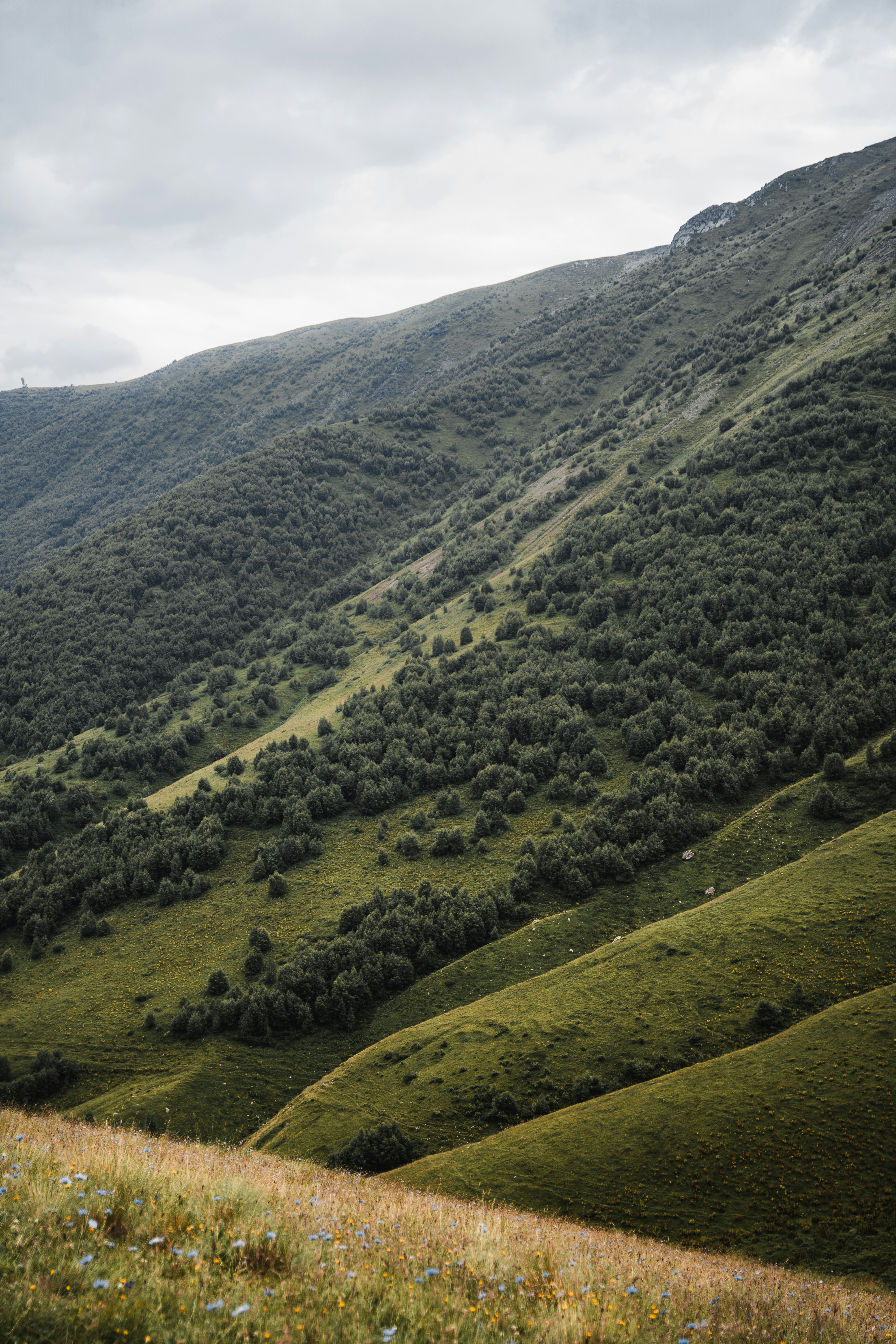 Photo by auchynnikau