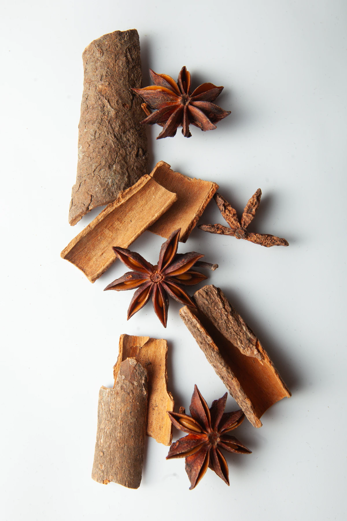 Cinnamon sticks and star anise warming spices