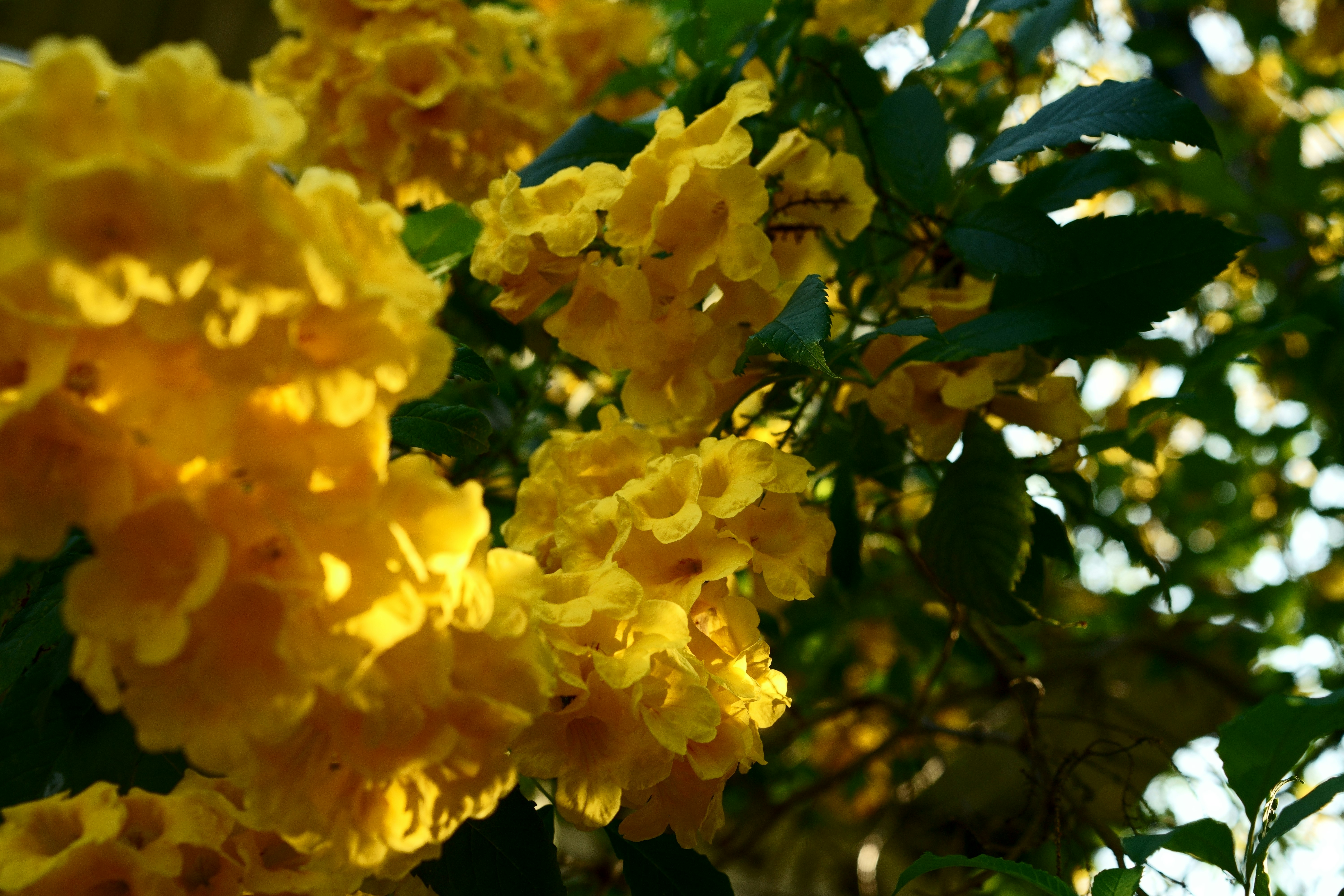 Photo by gabrielbodhi