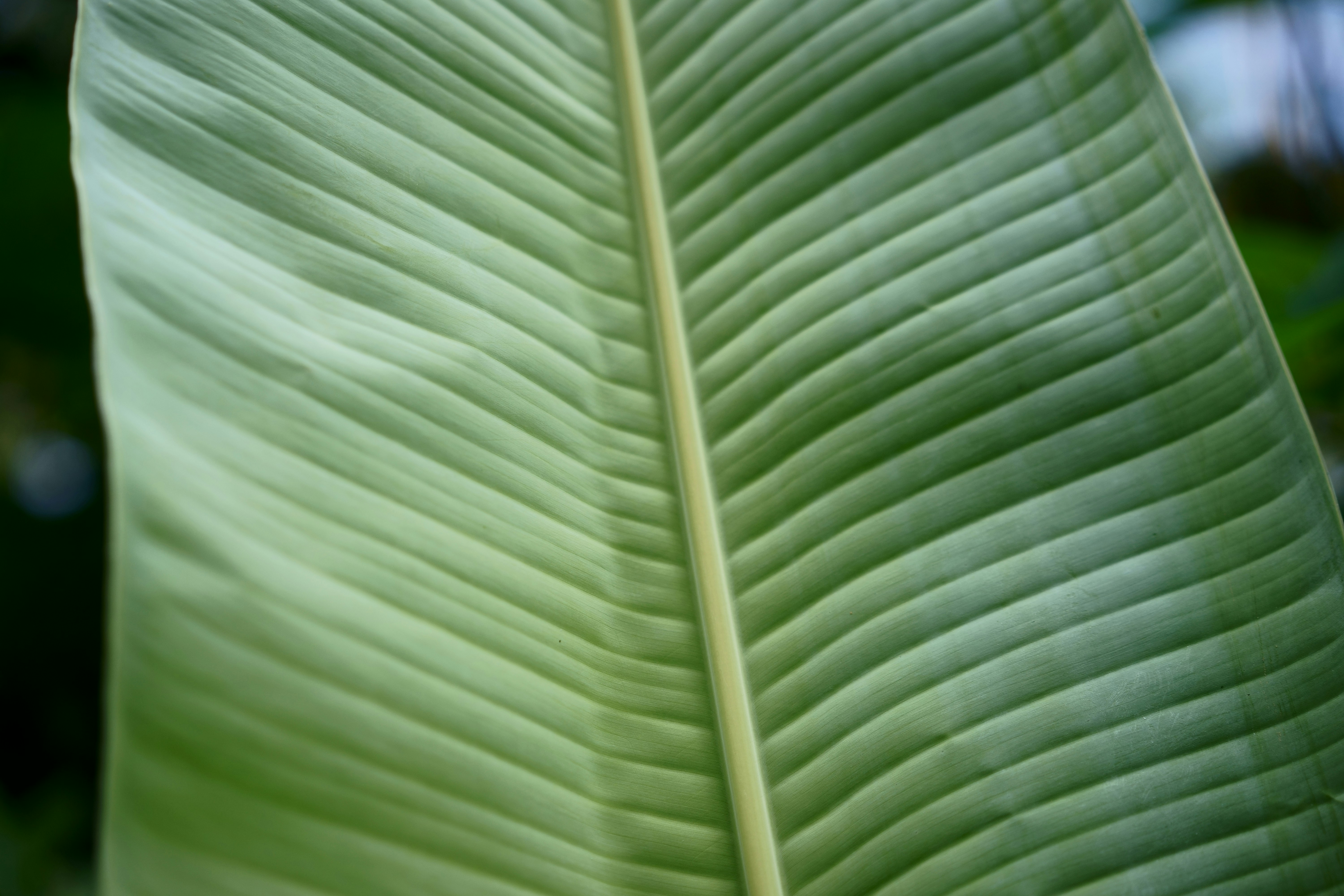 Photo by gabrielbodhi