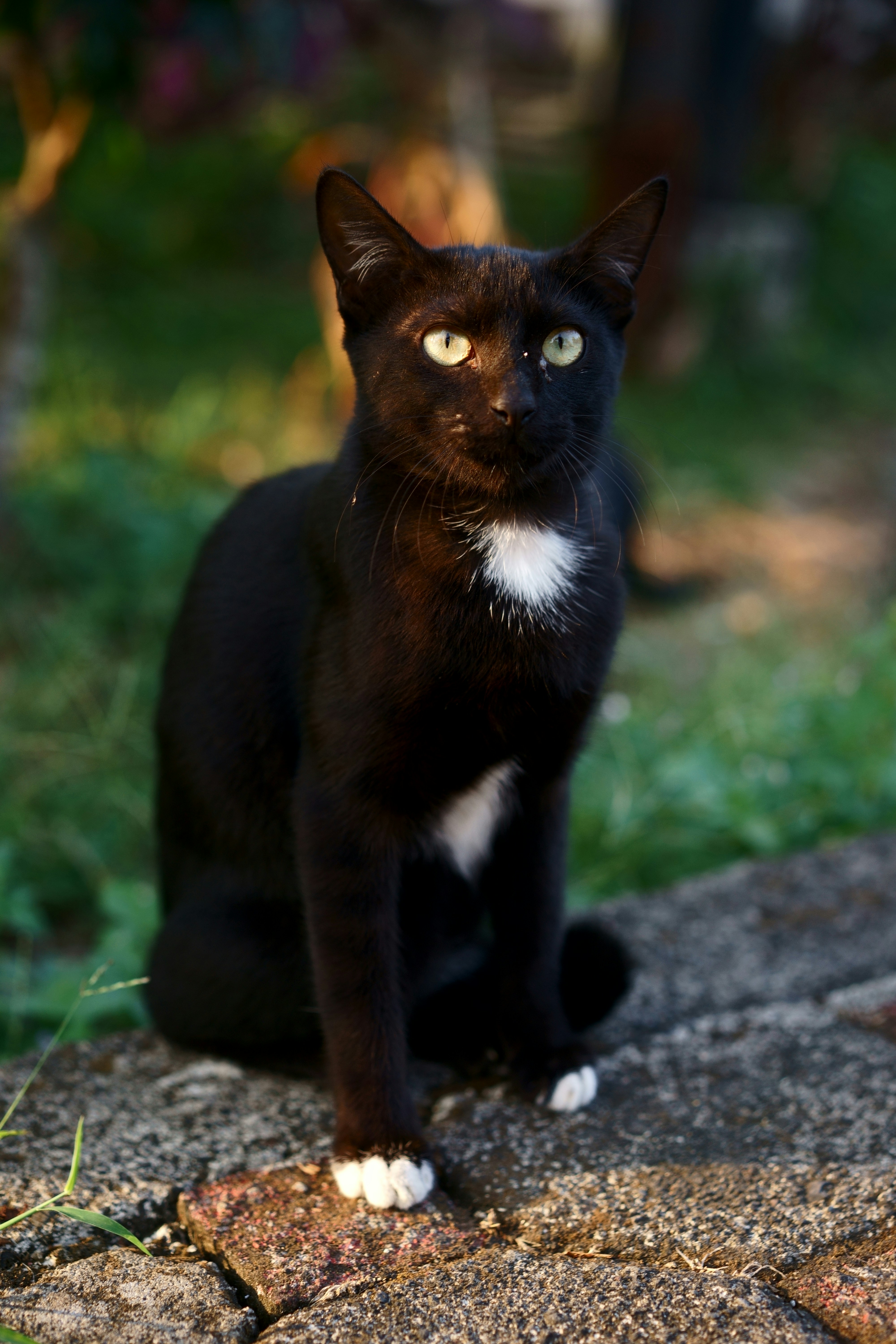 Photo by gabrielbodhi