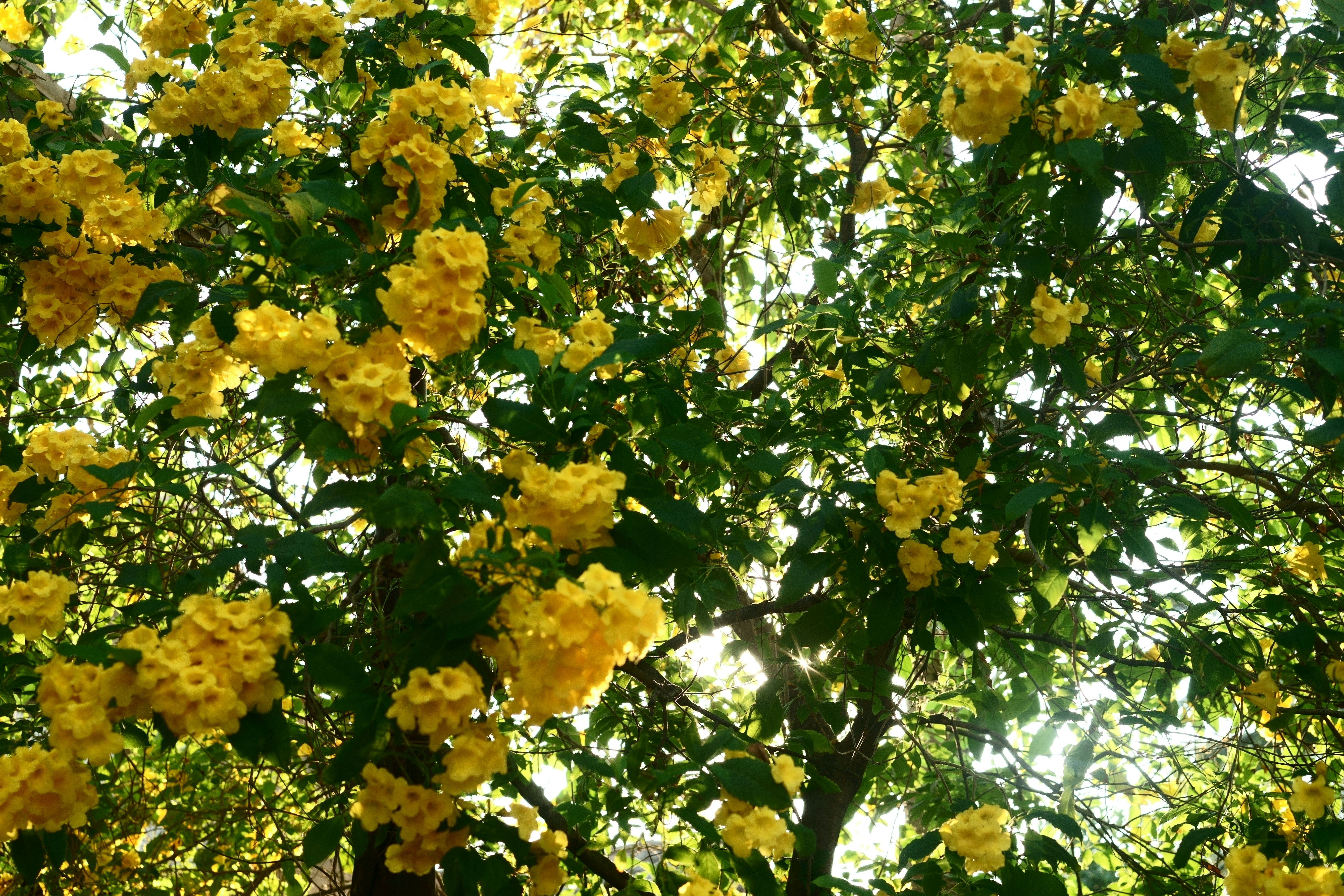 Photo by gabrielbodhi