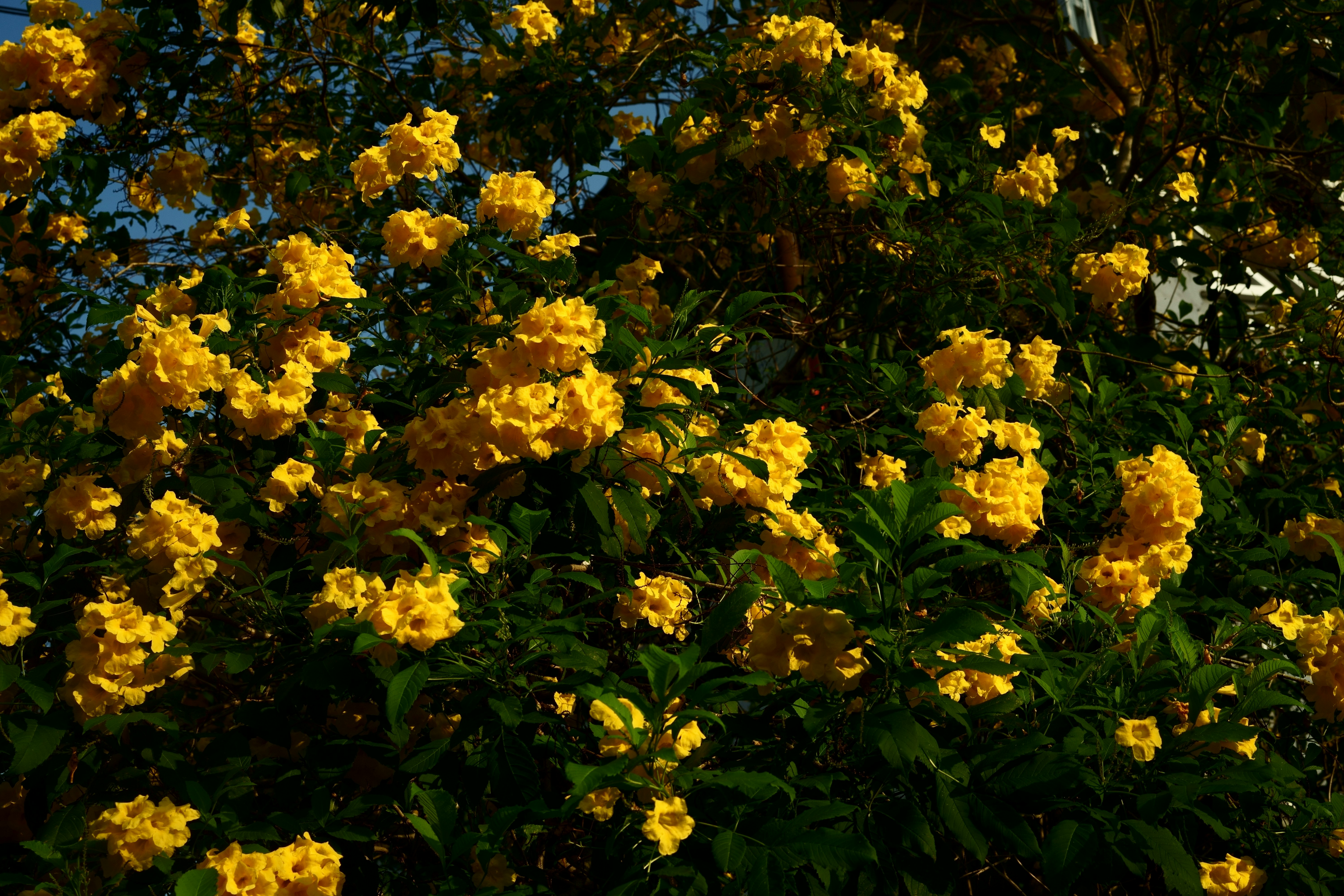 Photo by gabrielbodhi