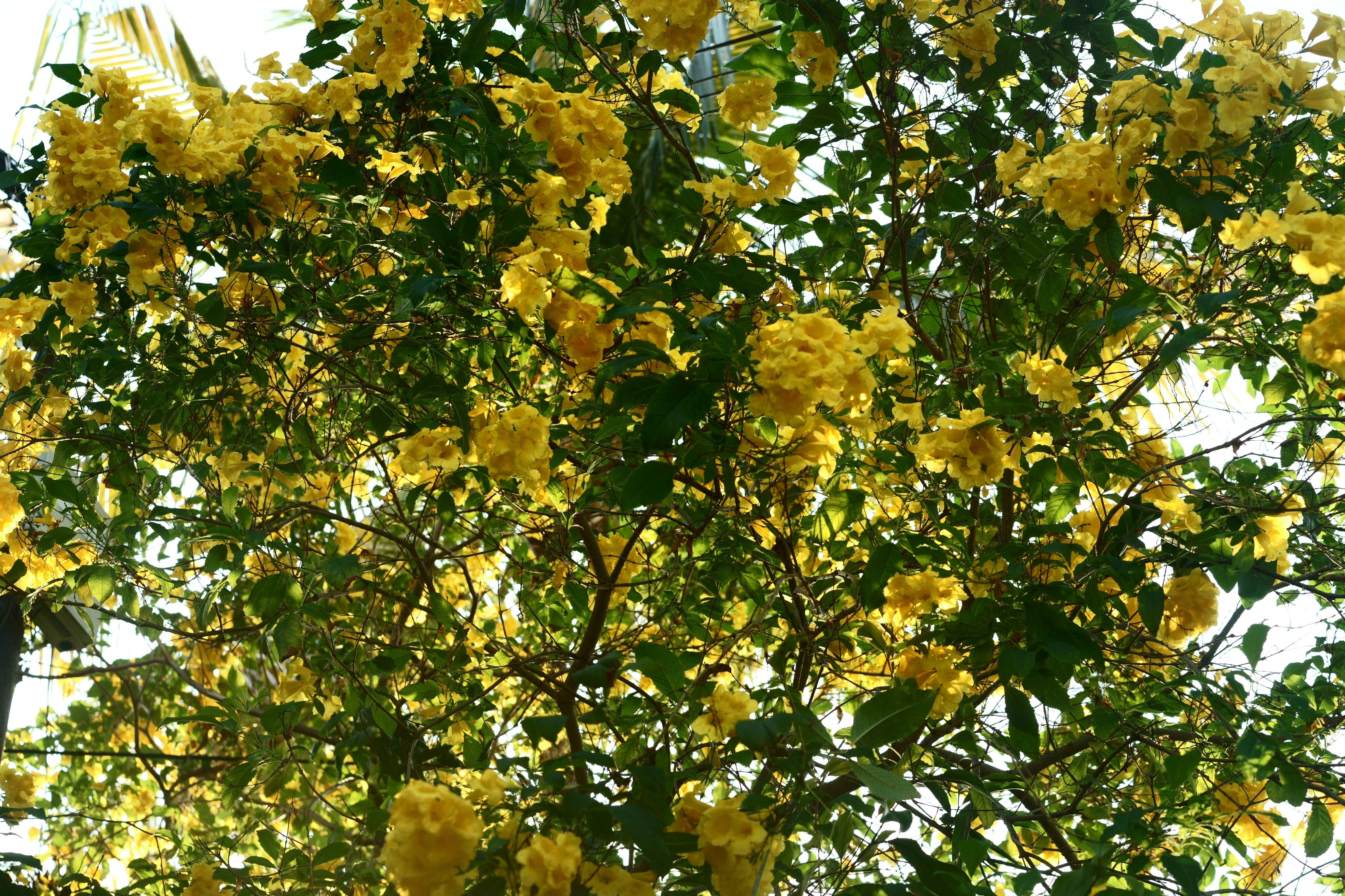 Photo by gabrielbodhi