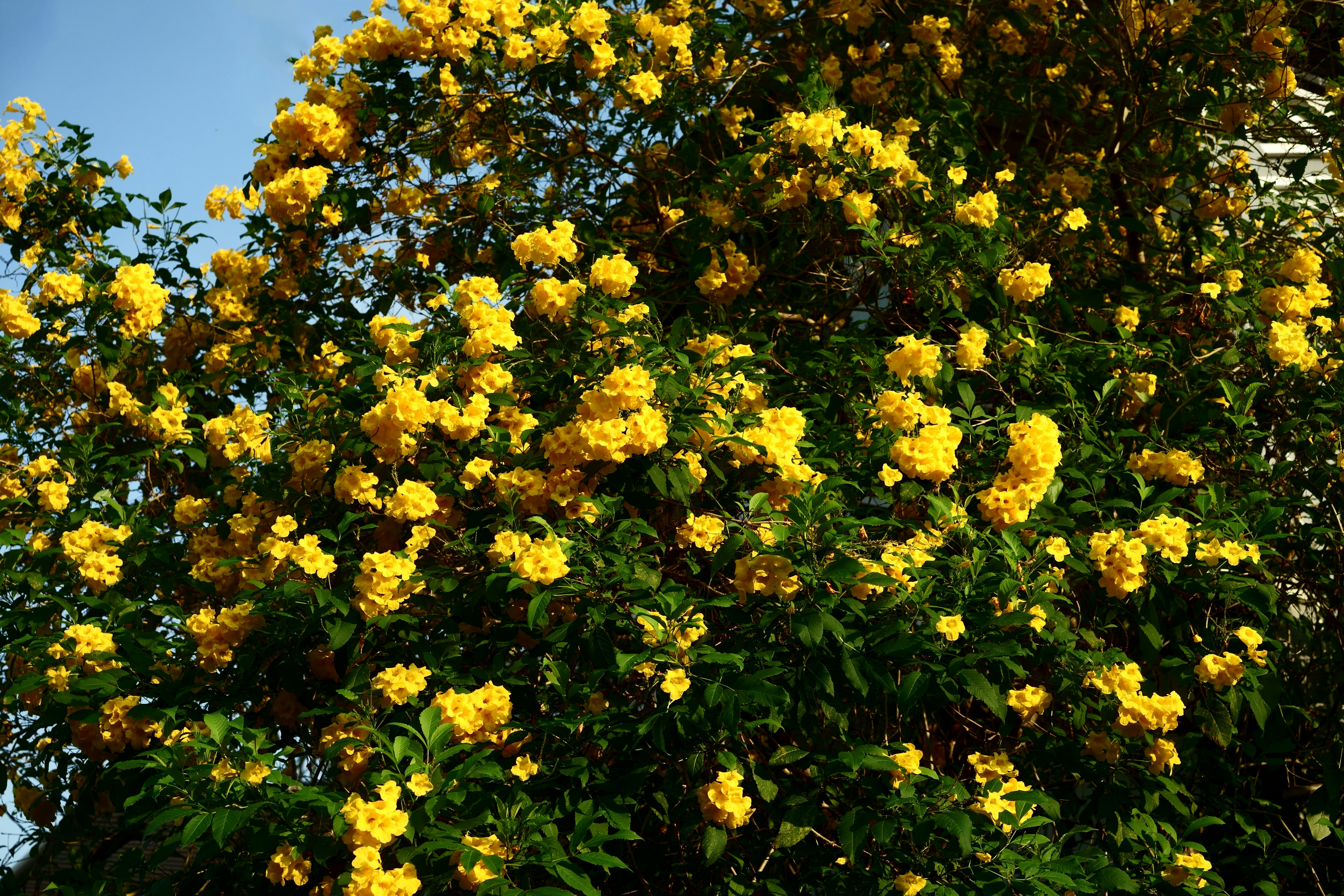 Photo by gabrielbodhi