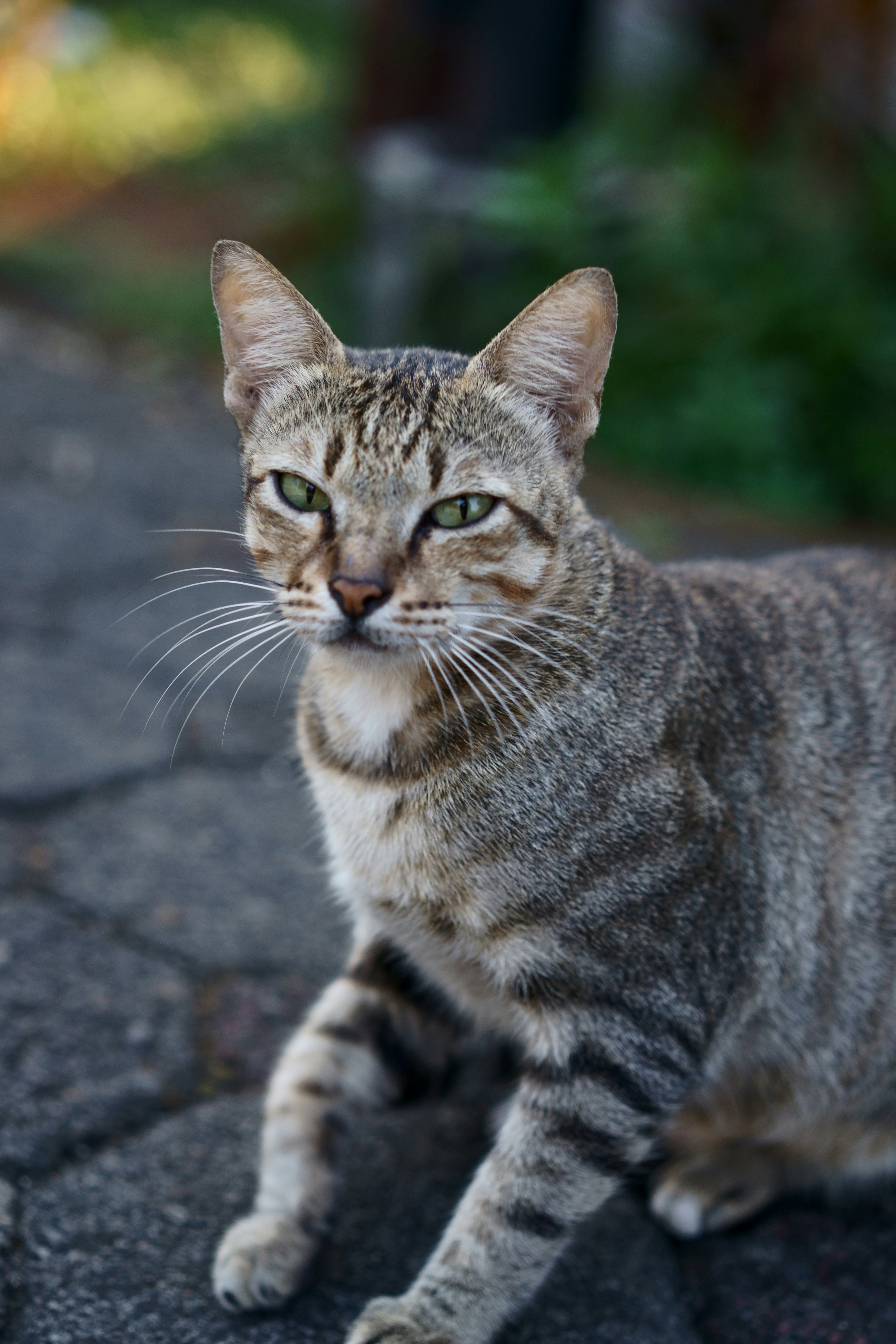 Photo by gabrielbodhi