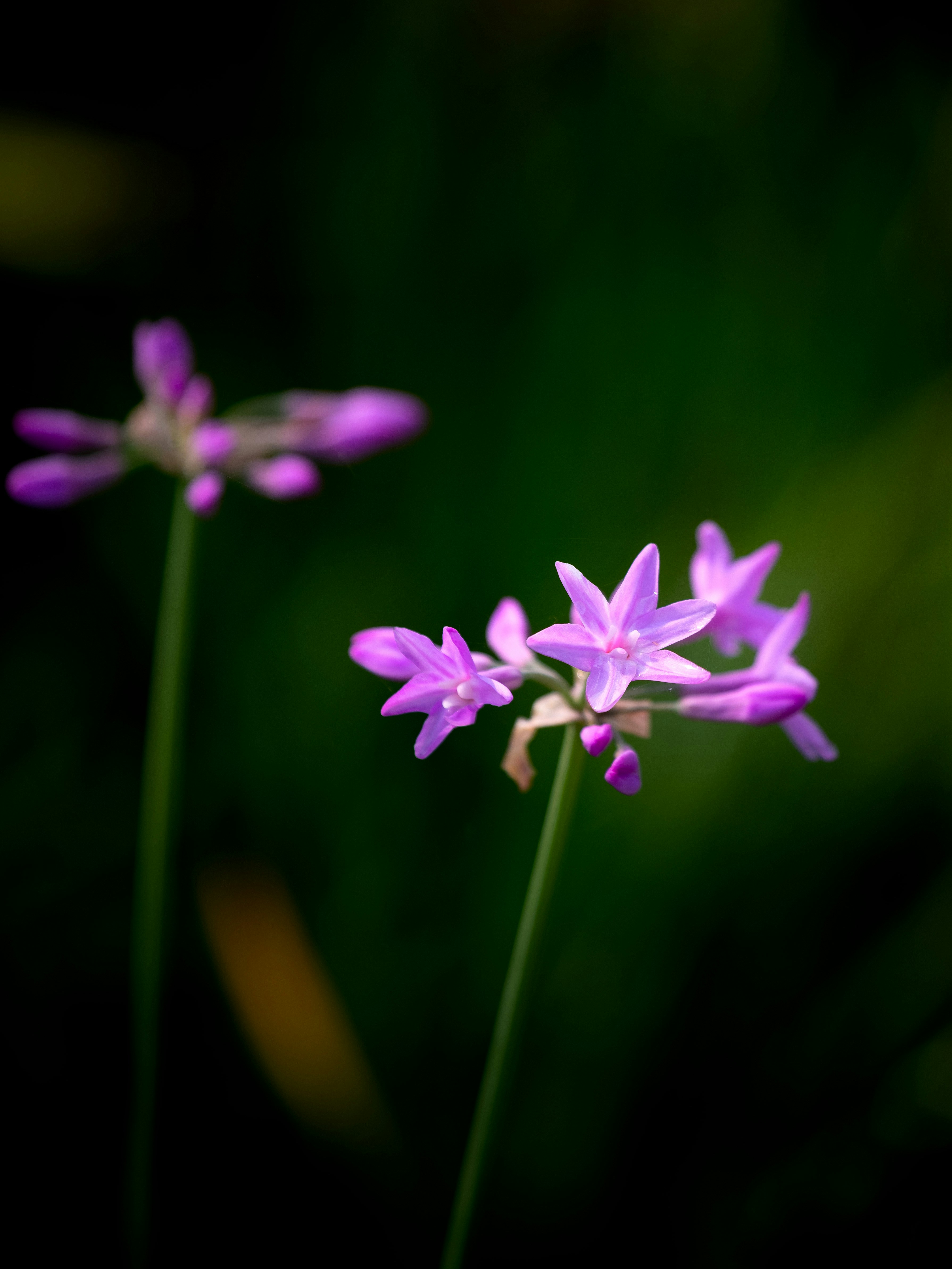 Photo by tony1218