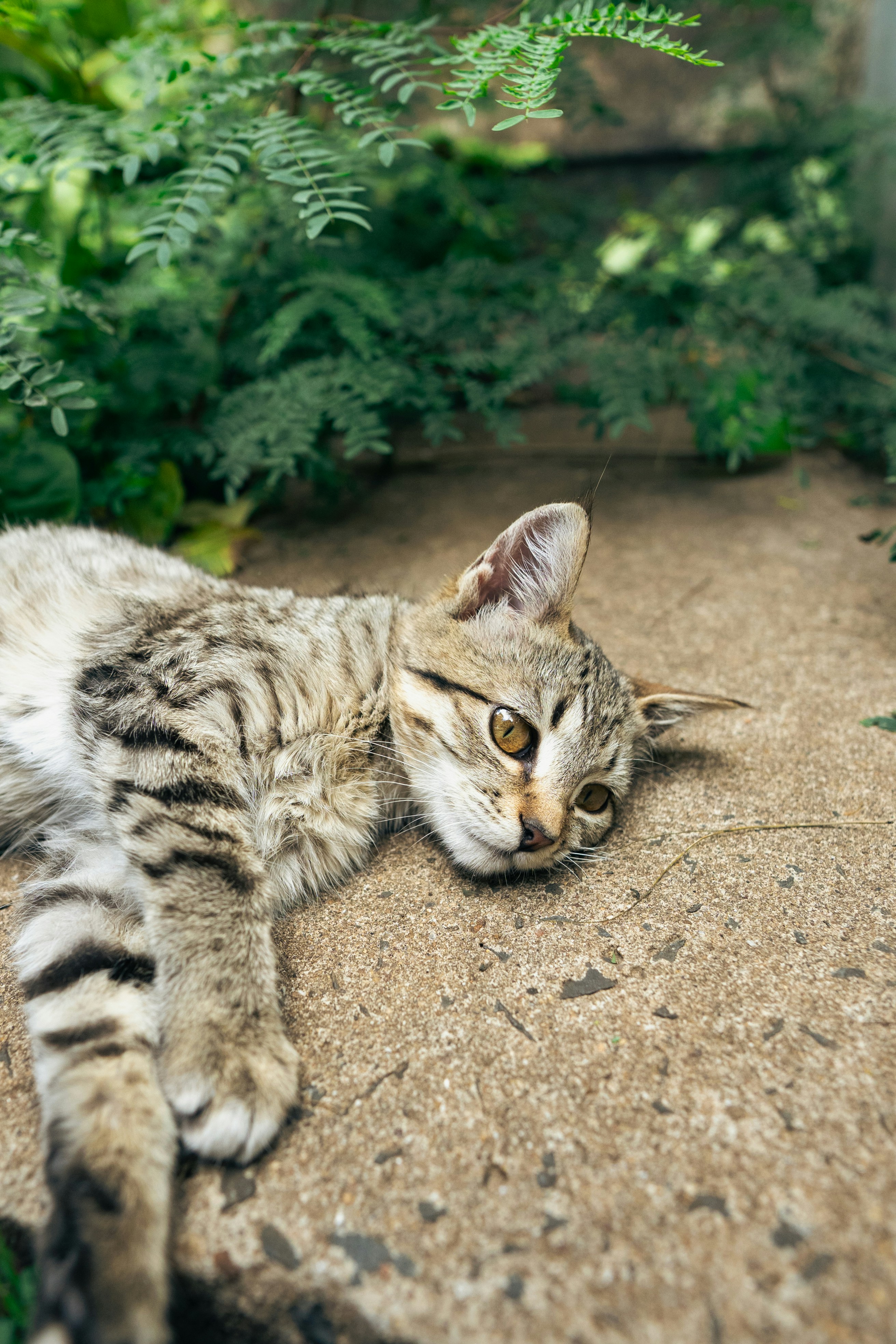 Photo by spliff_dj_joe