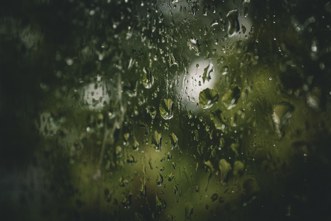 The Slow Season: When Feeling Worse Is Actually a Sign You Survived