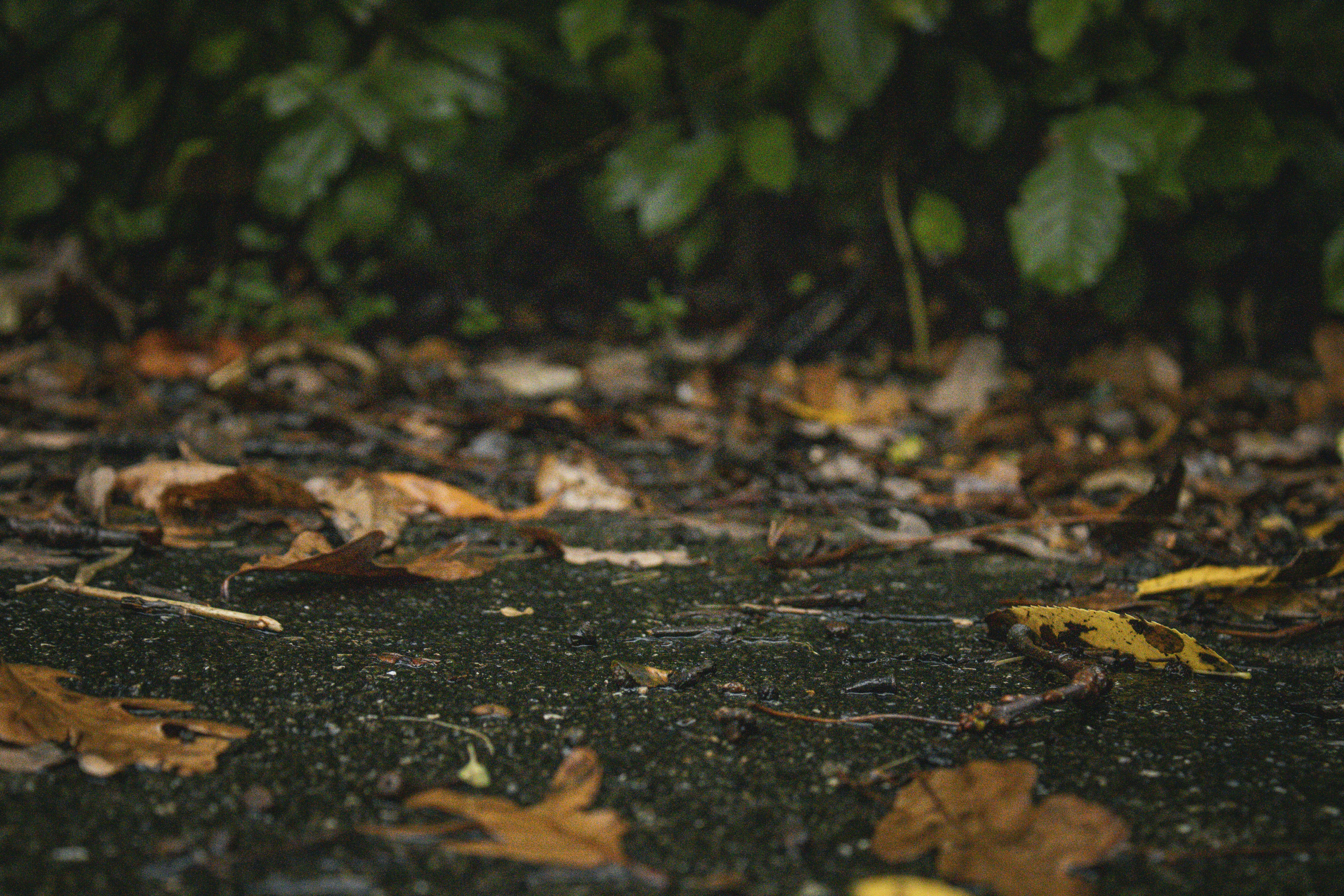 Photo by one23four56