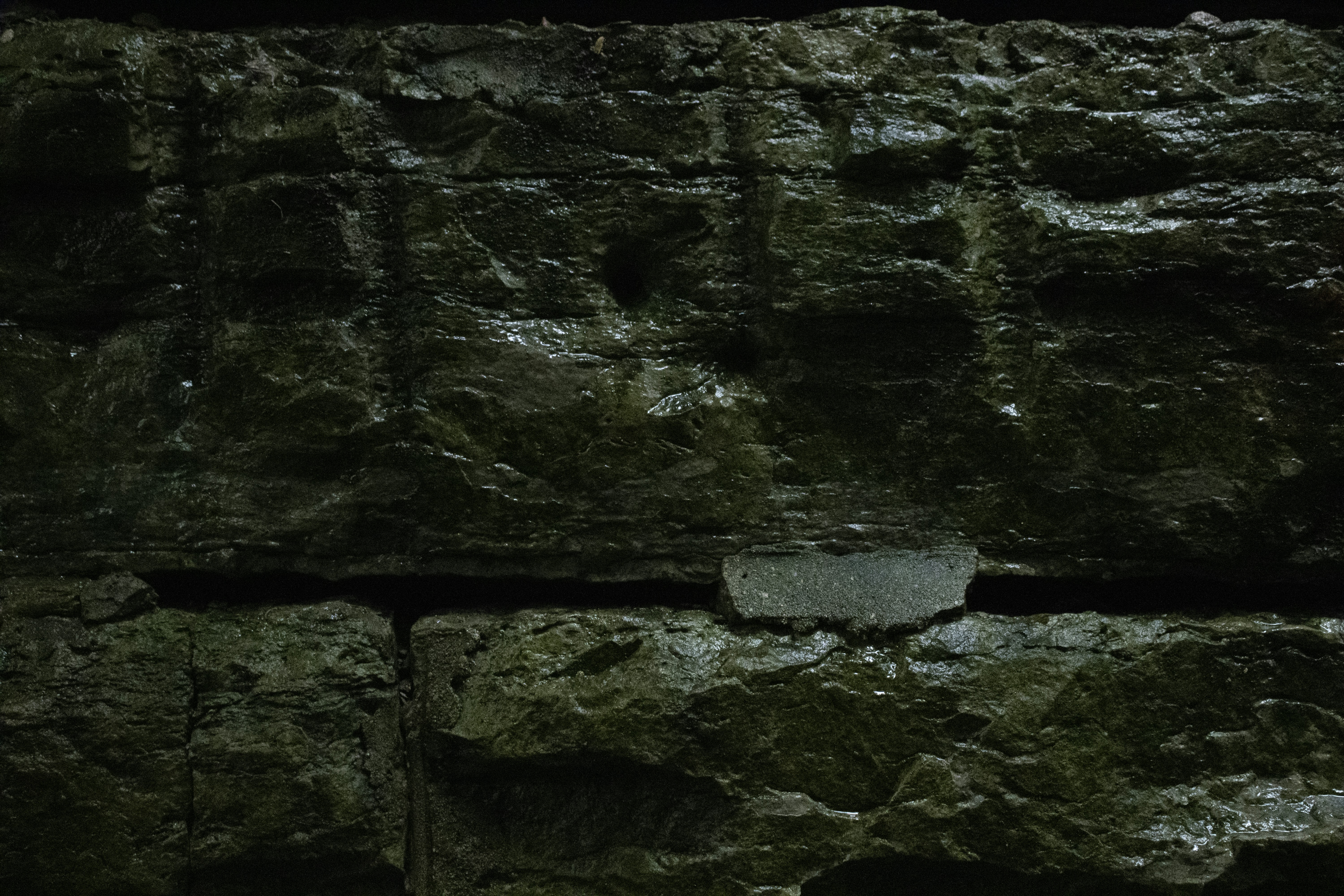 Photo by one23four56