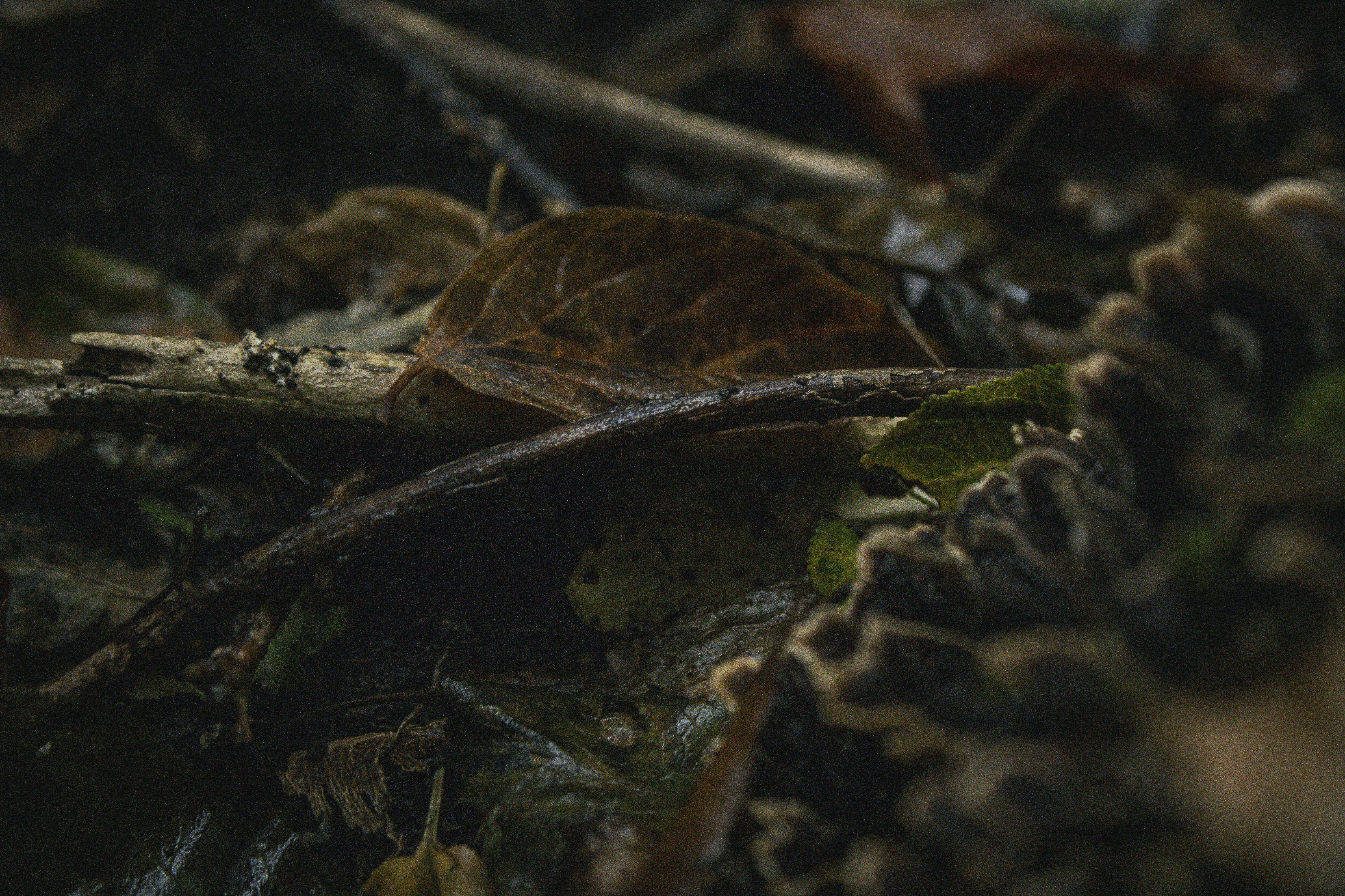 Photo by one23four56