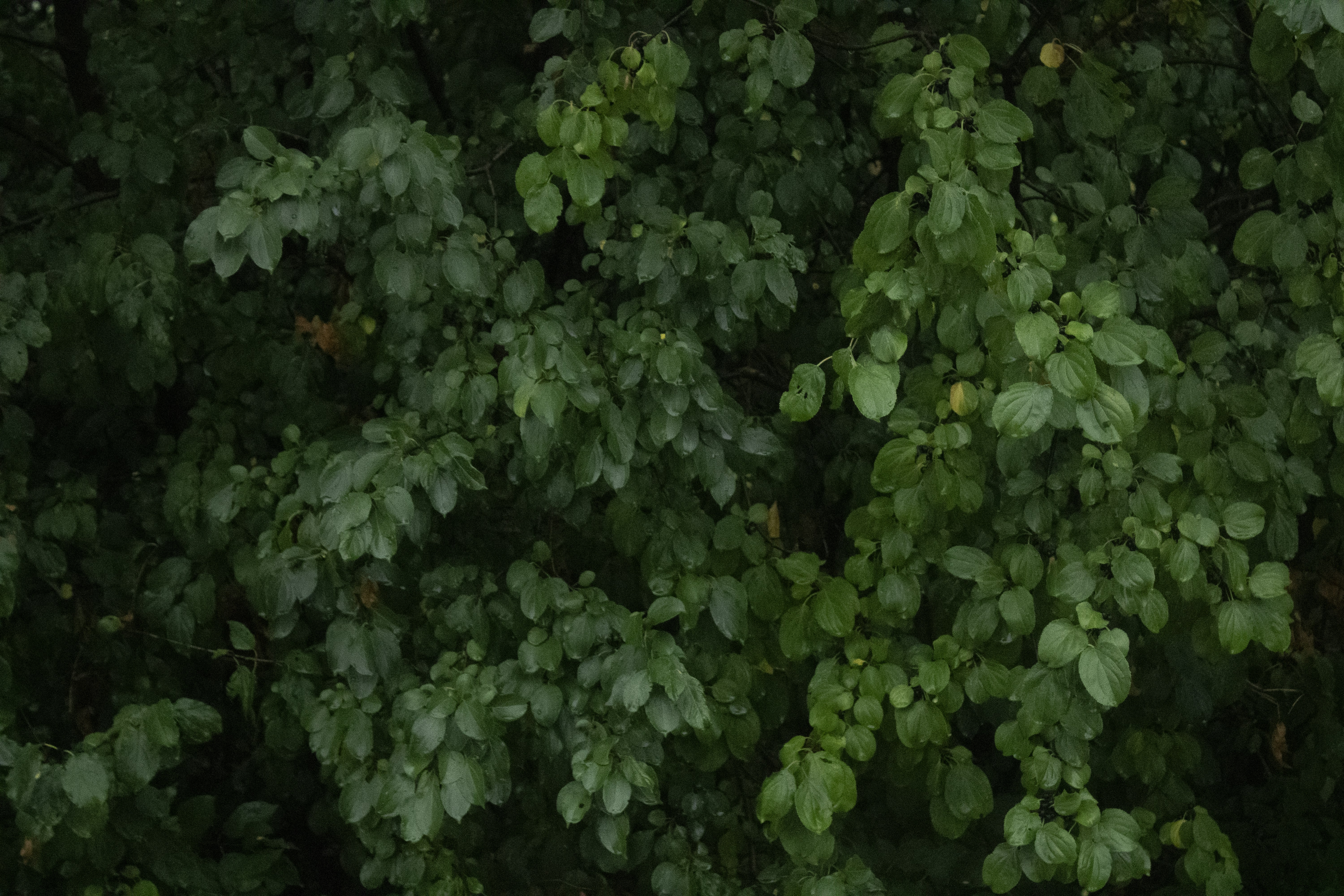 Photo by one23four56