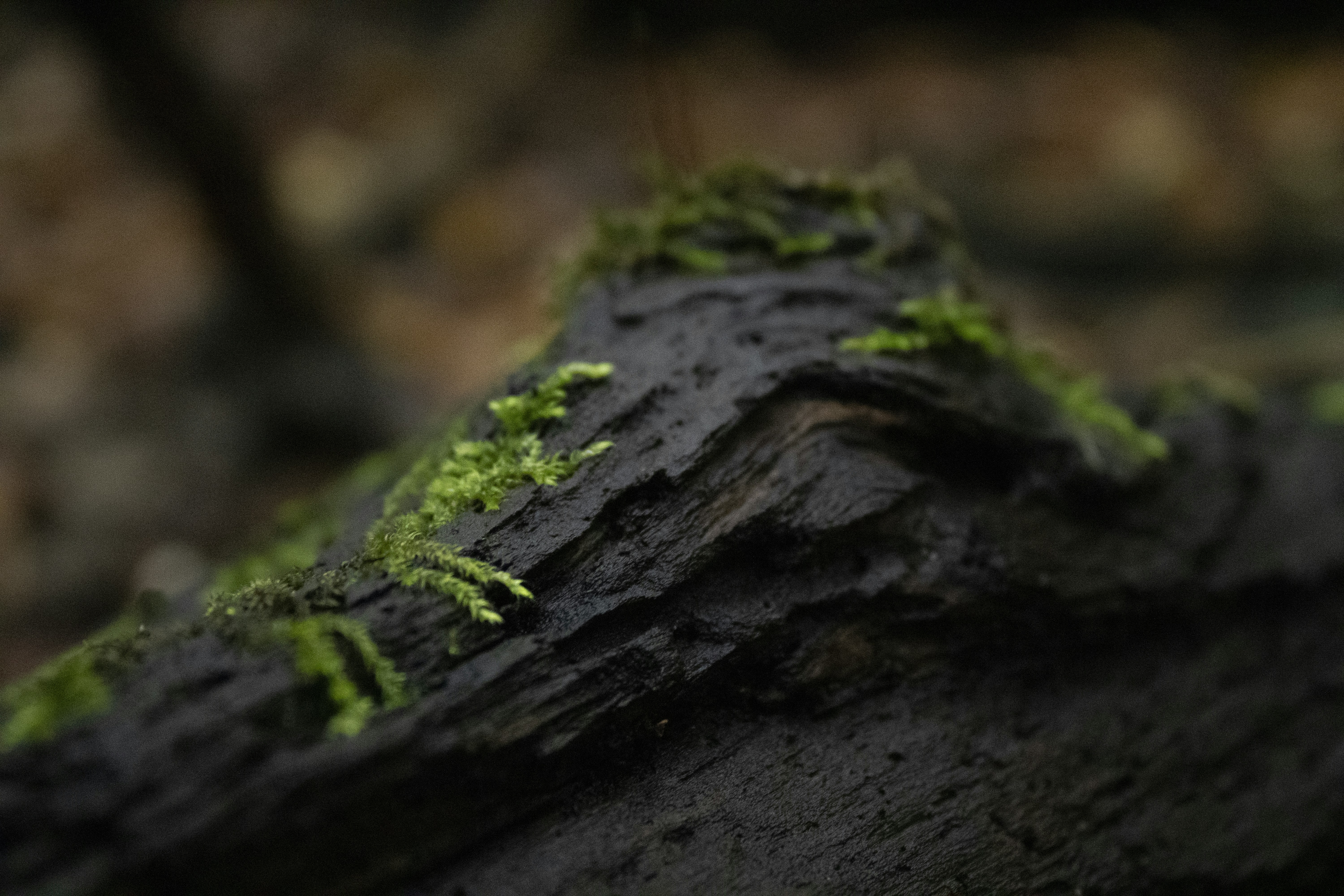 Photo by one23four56