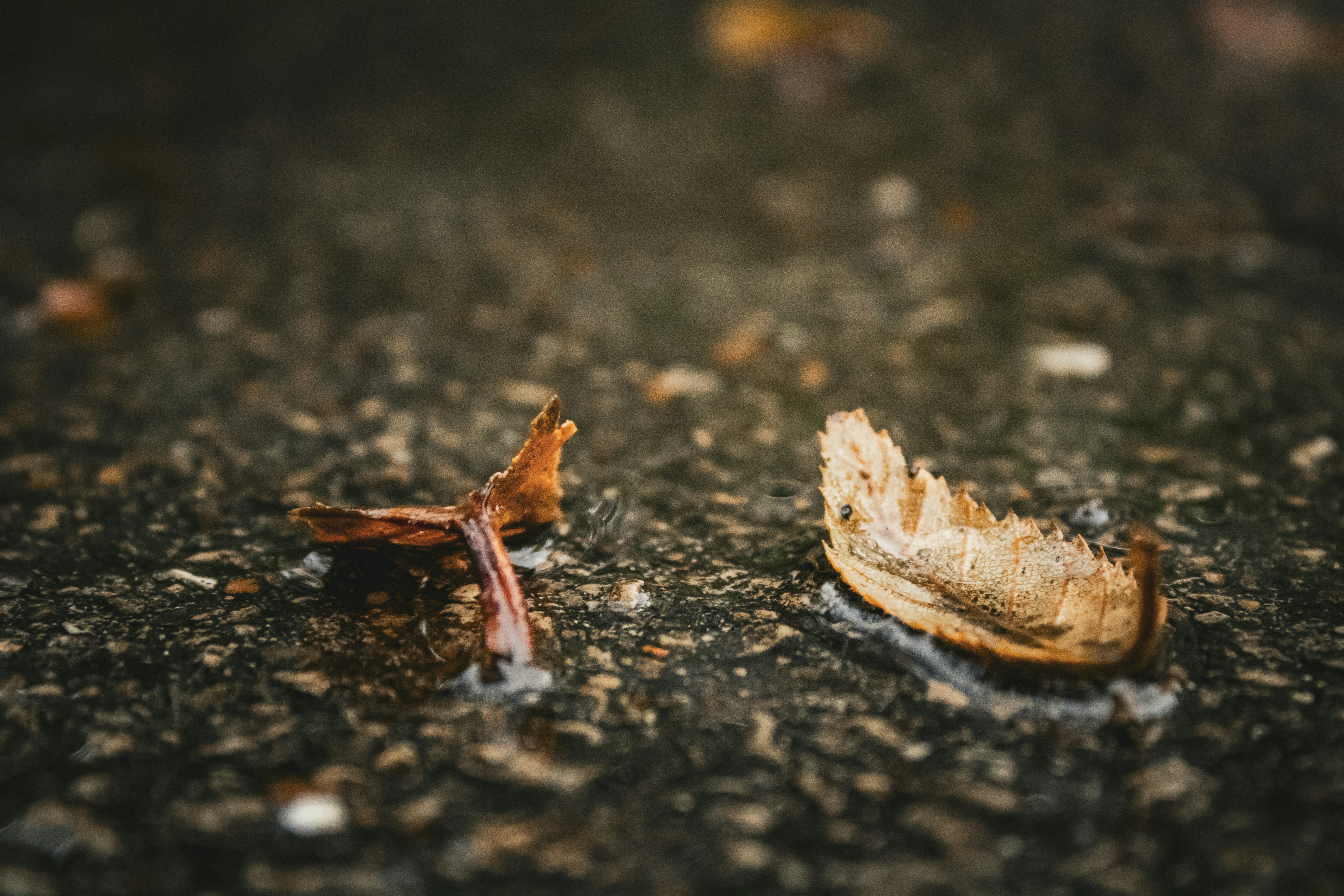 Photo by one23four56