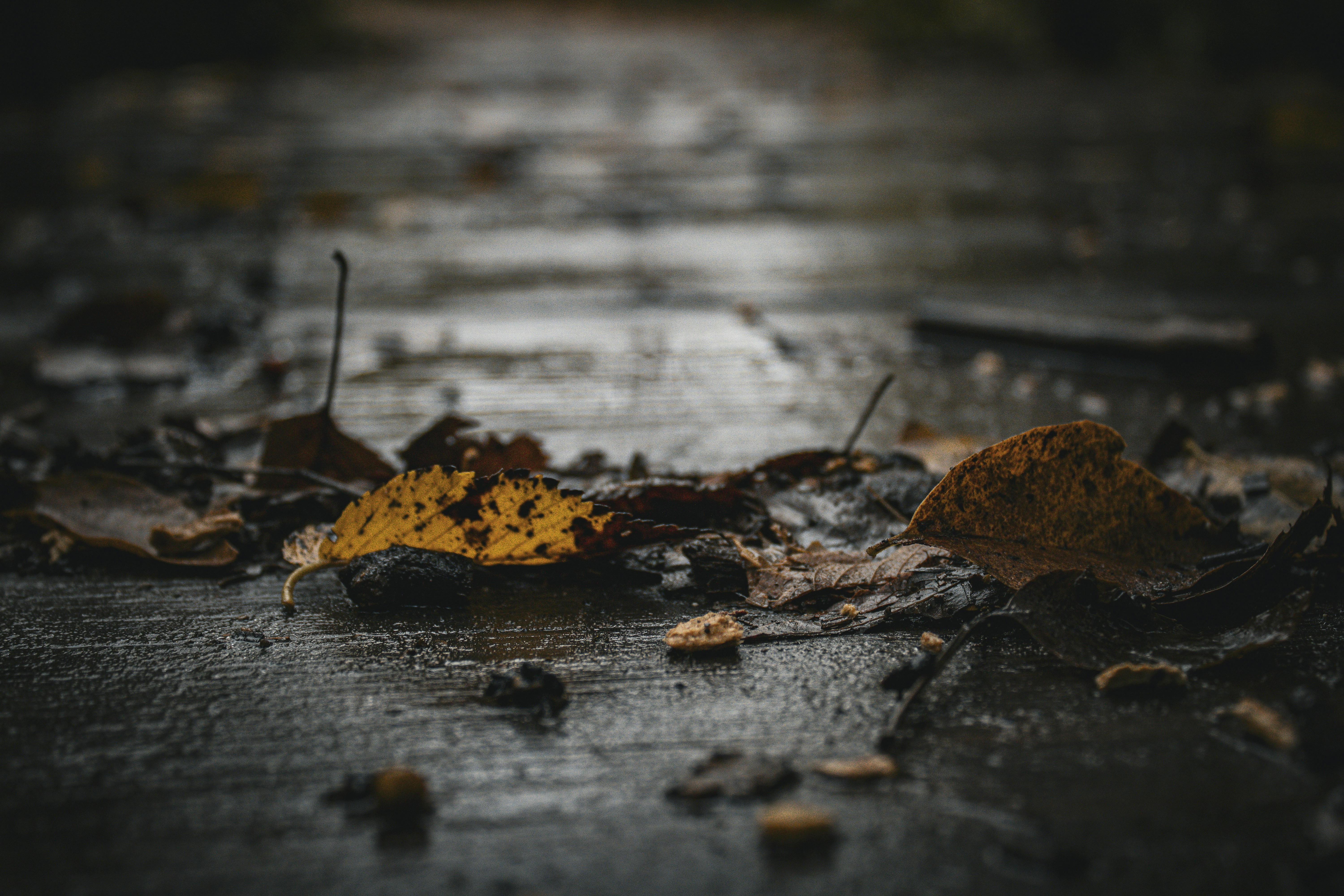 Photo by one23four56