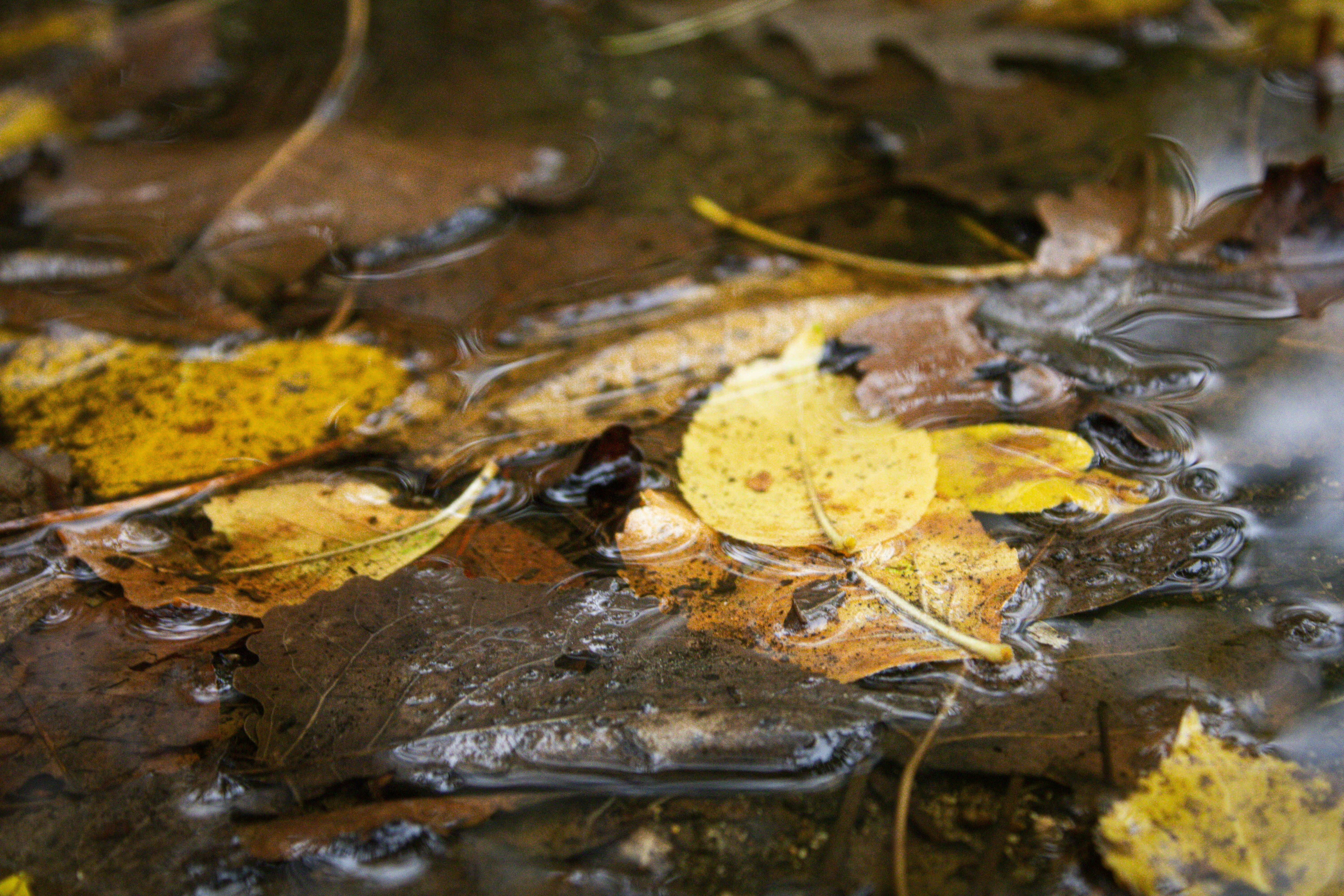 Photo by one23four56