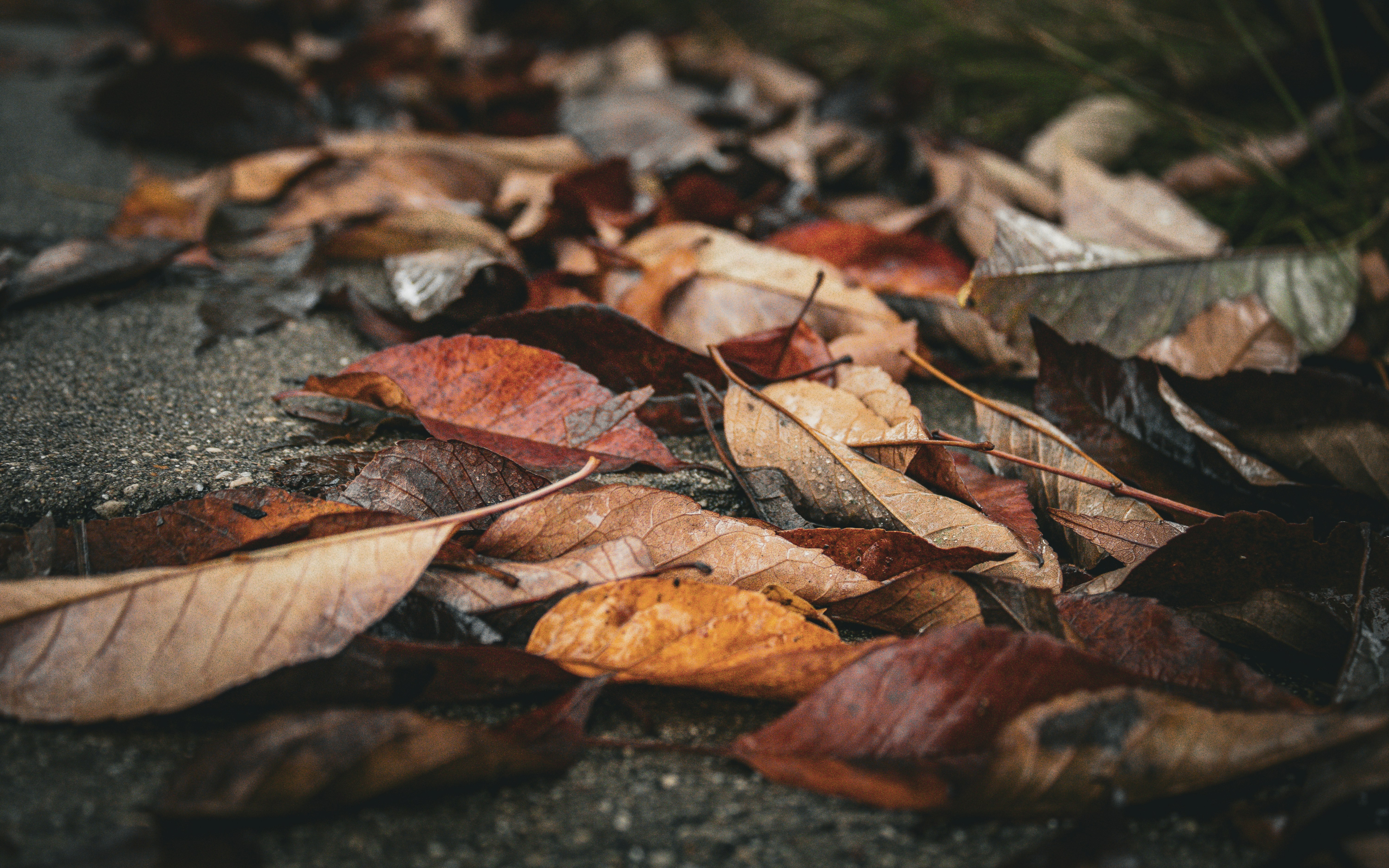 Photo by one23four56