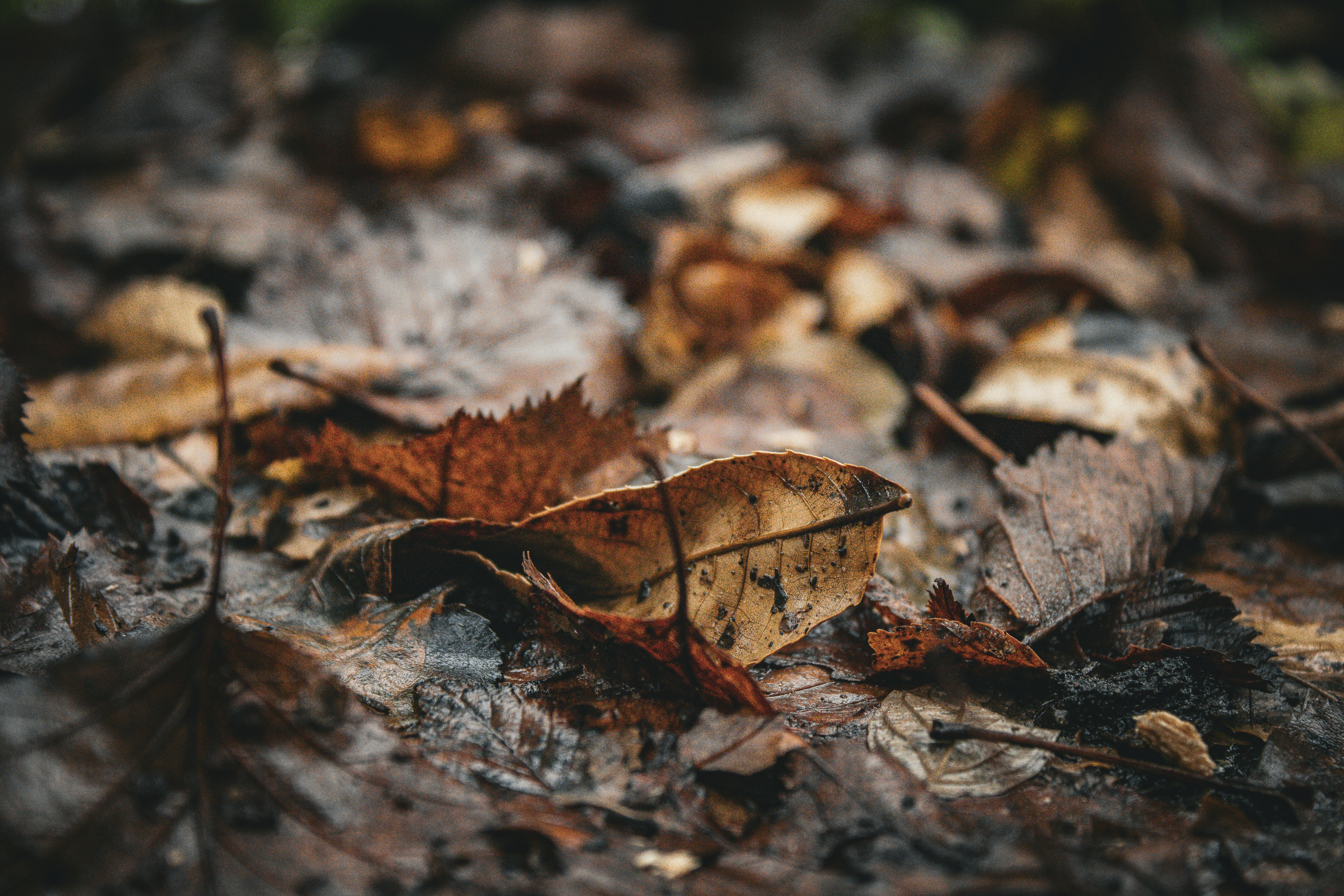 Photo by one23four56