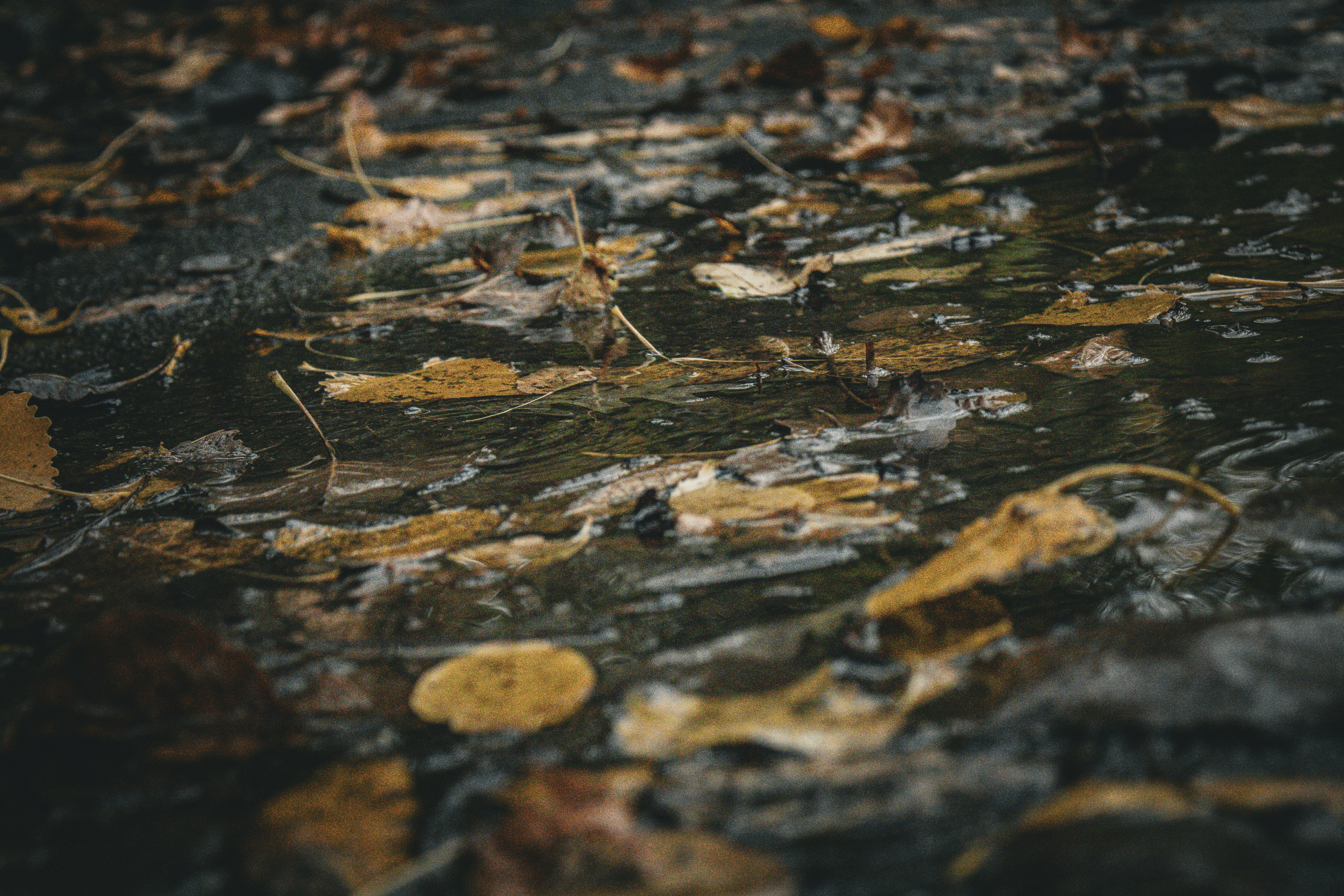 Photo by one23four56