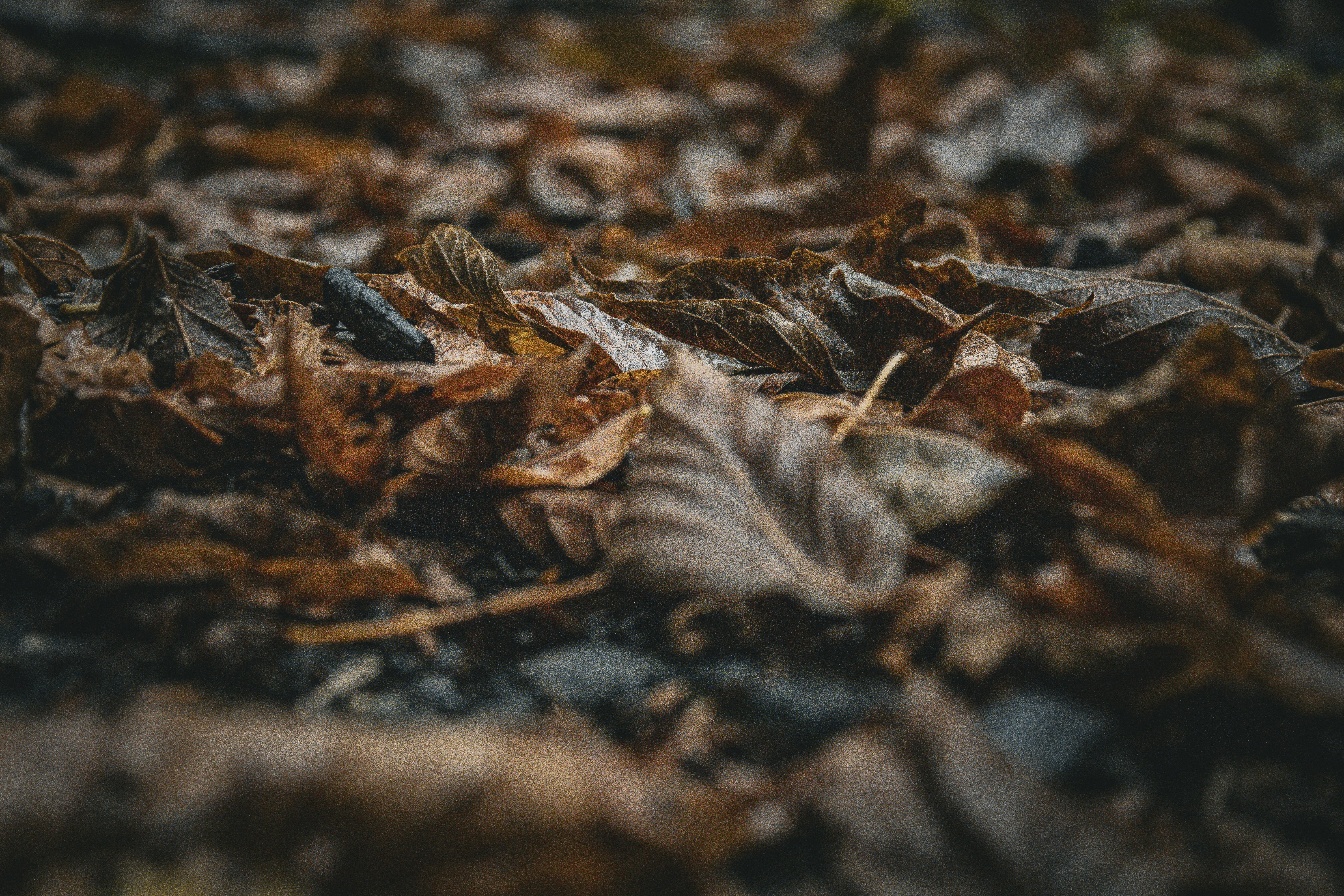 Photo by one23four56