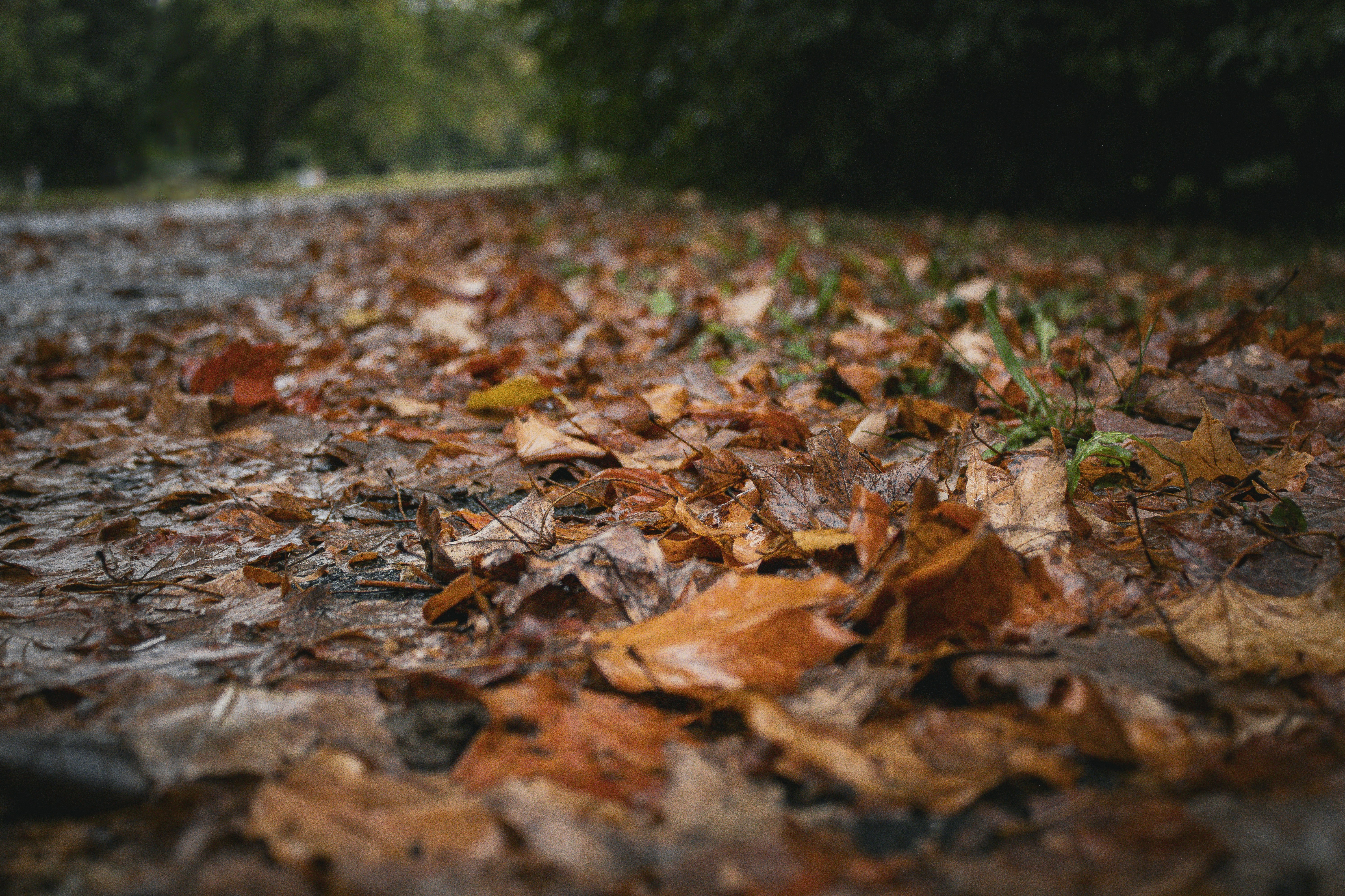 Photo by one23four56