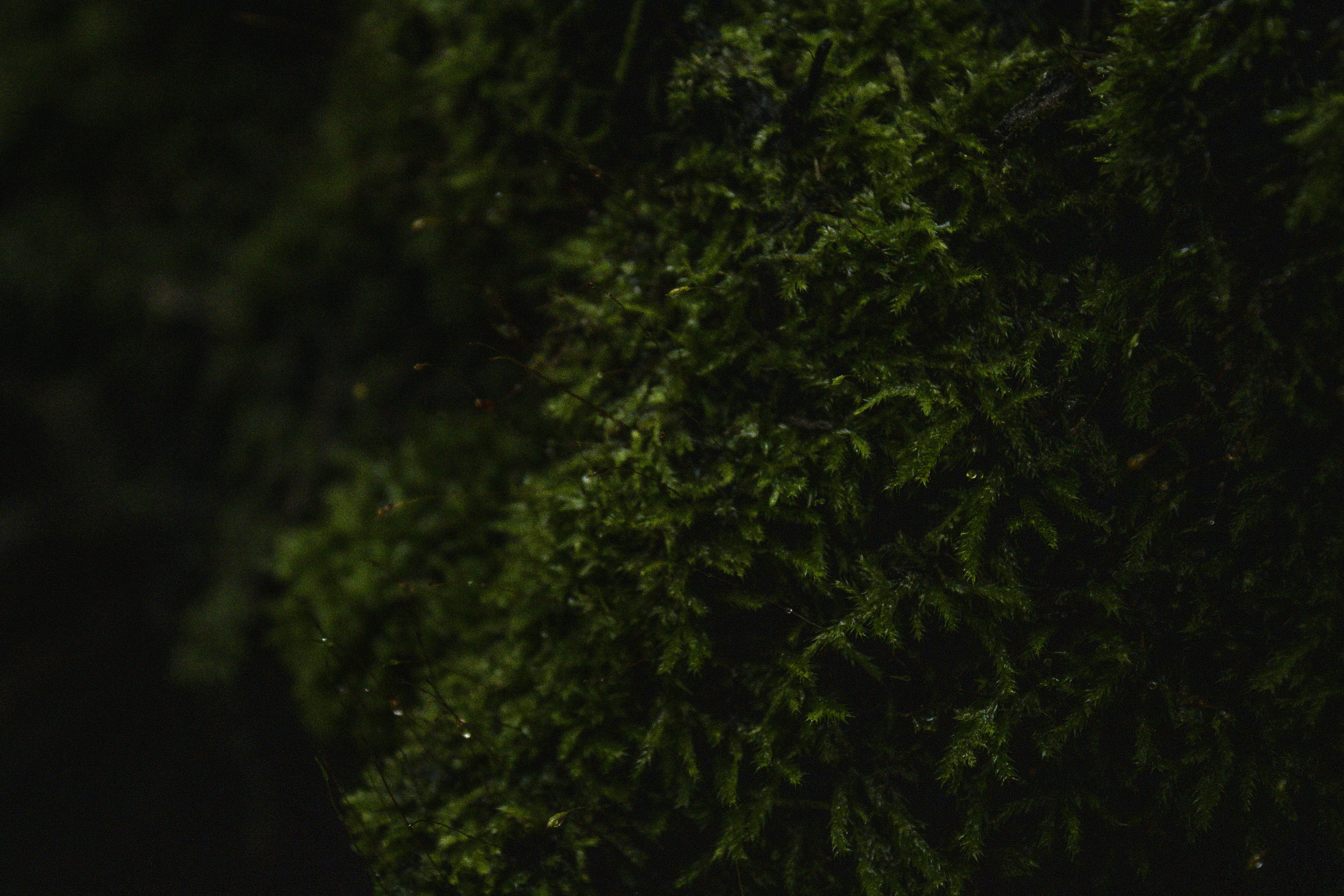 Photo by one23four56