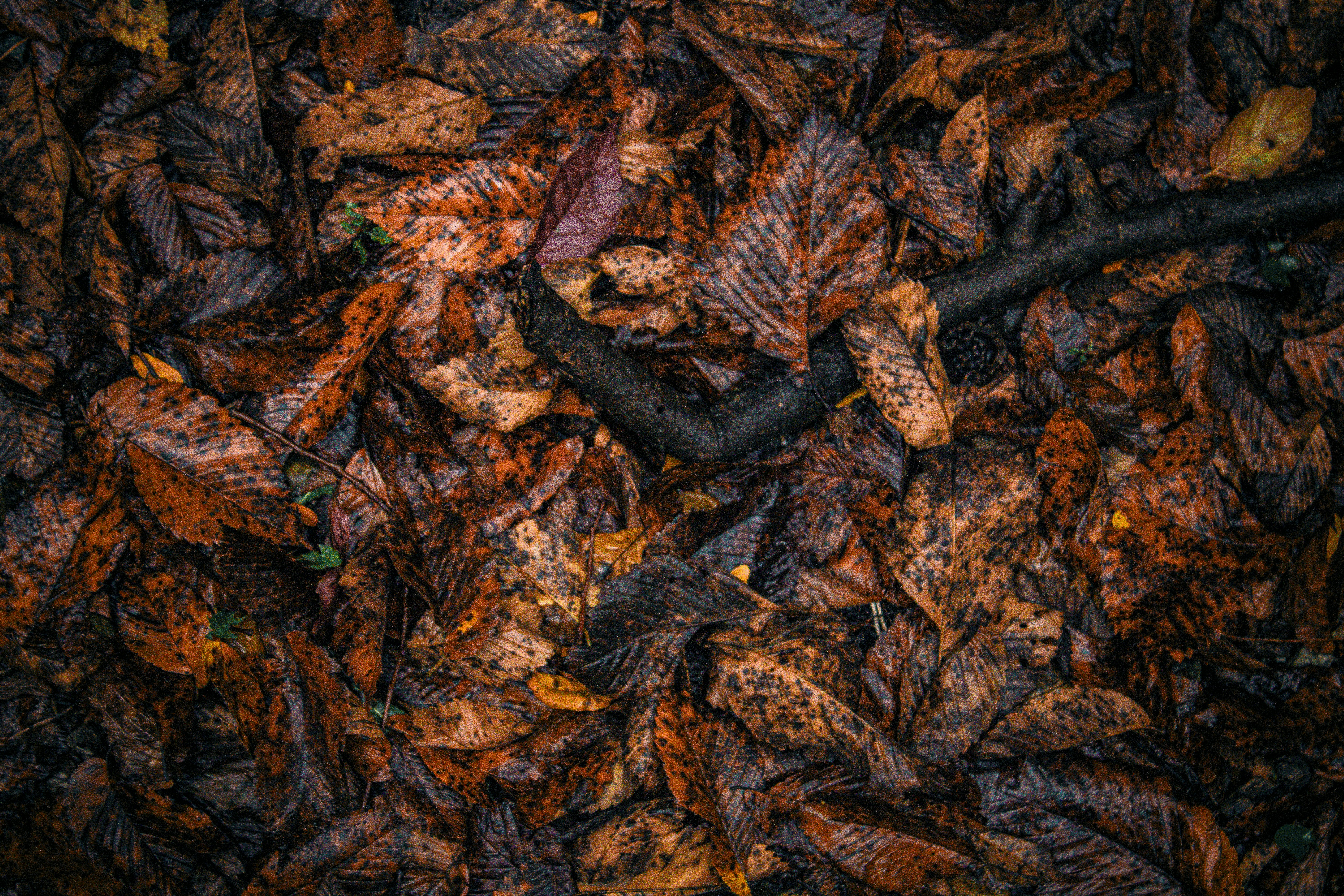 Photo by one23four56