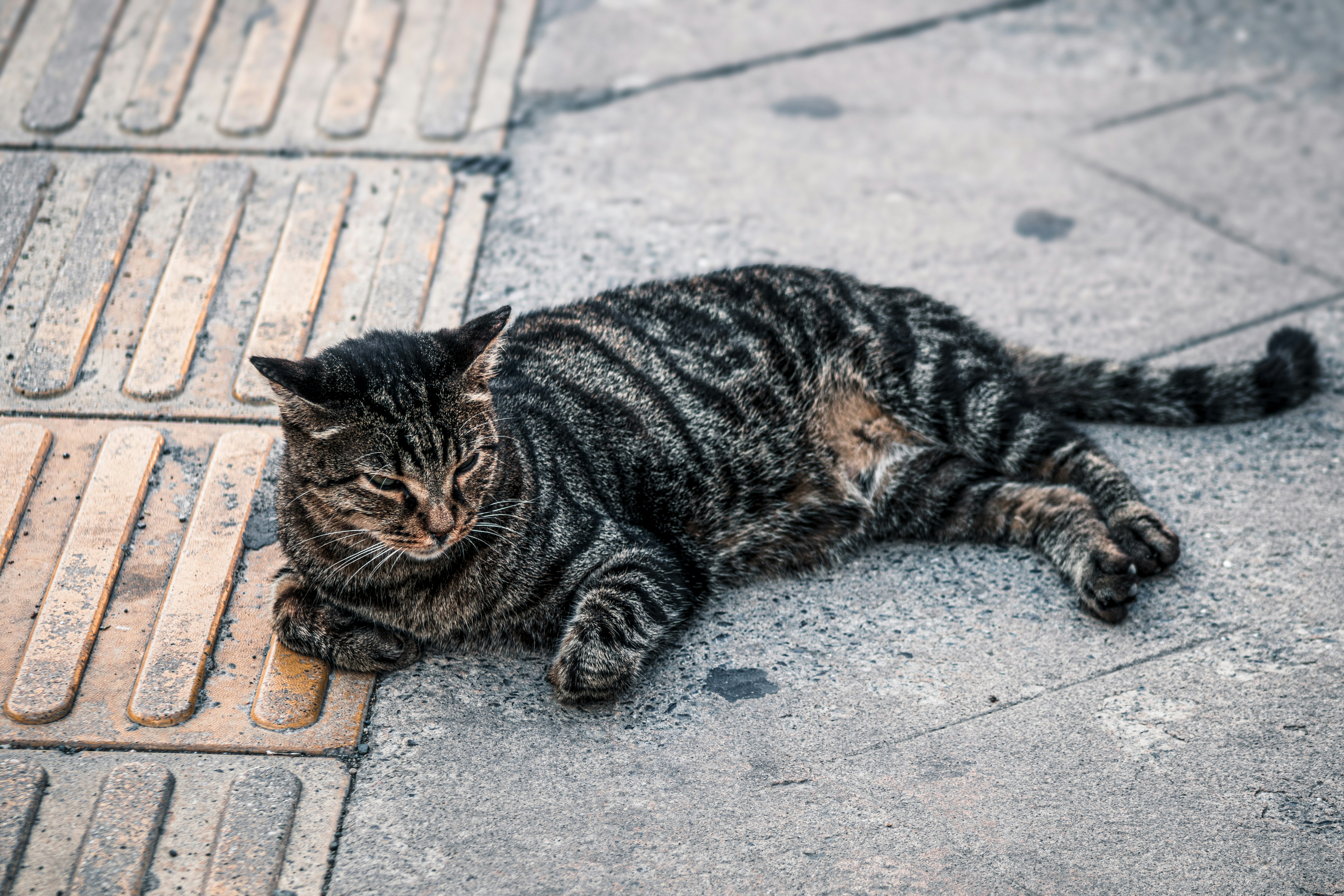 Photo by servetphotograph