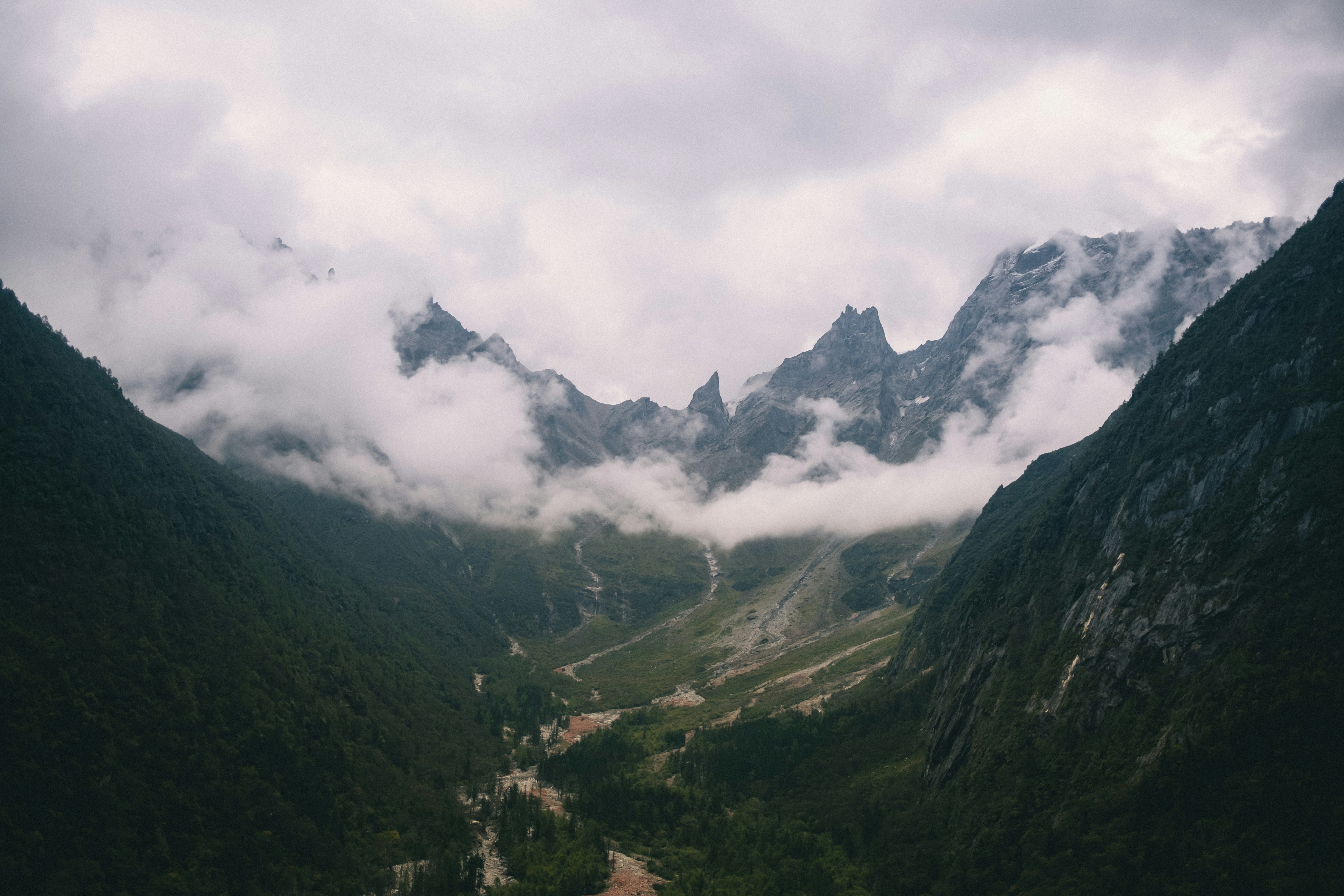 Photo by xingchenyan