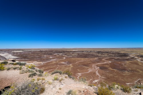 Petrified Forest National Park