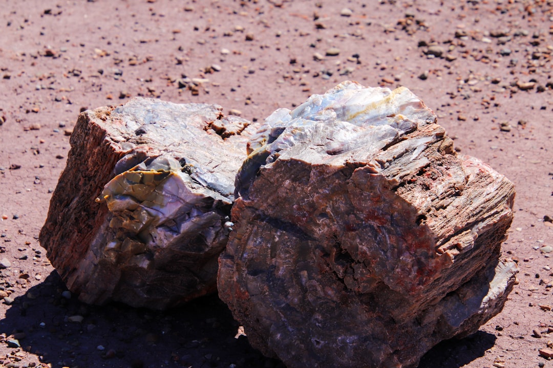 A couple of rocks sitting on top of a dirt field,