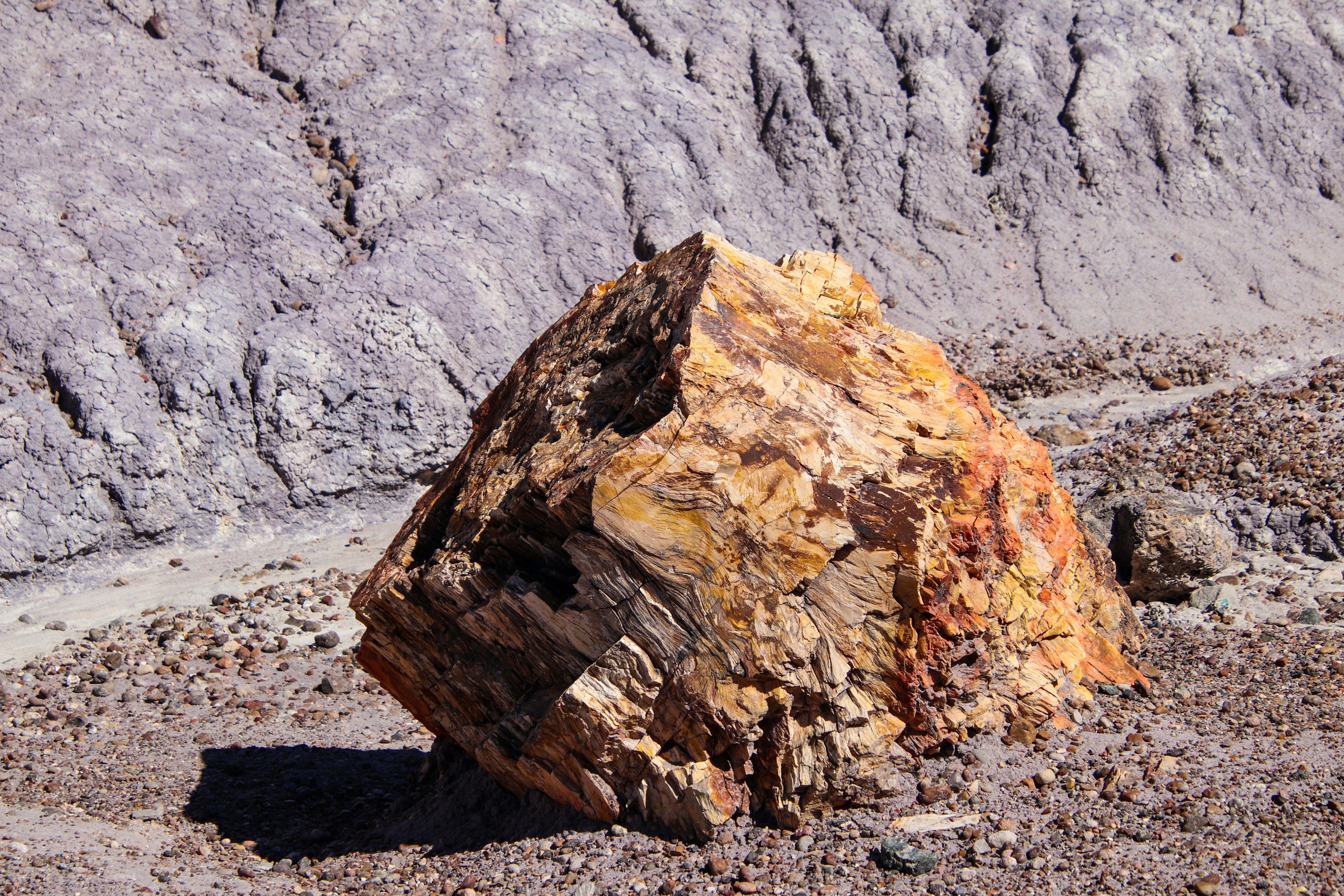 A large rock sitting in the middle of a desert photo – Free Petrified ...