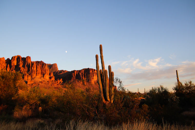 Desert preserve on the city's edge