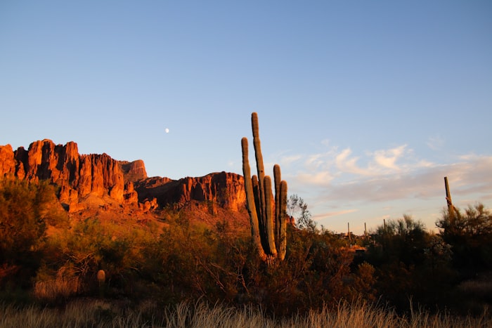House hacking duplex Arizona first investment