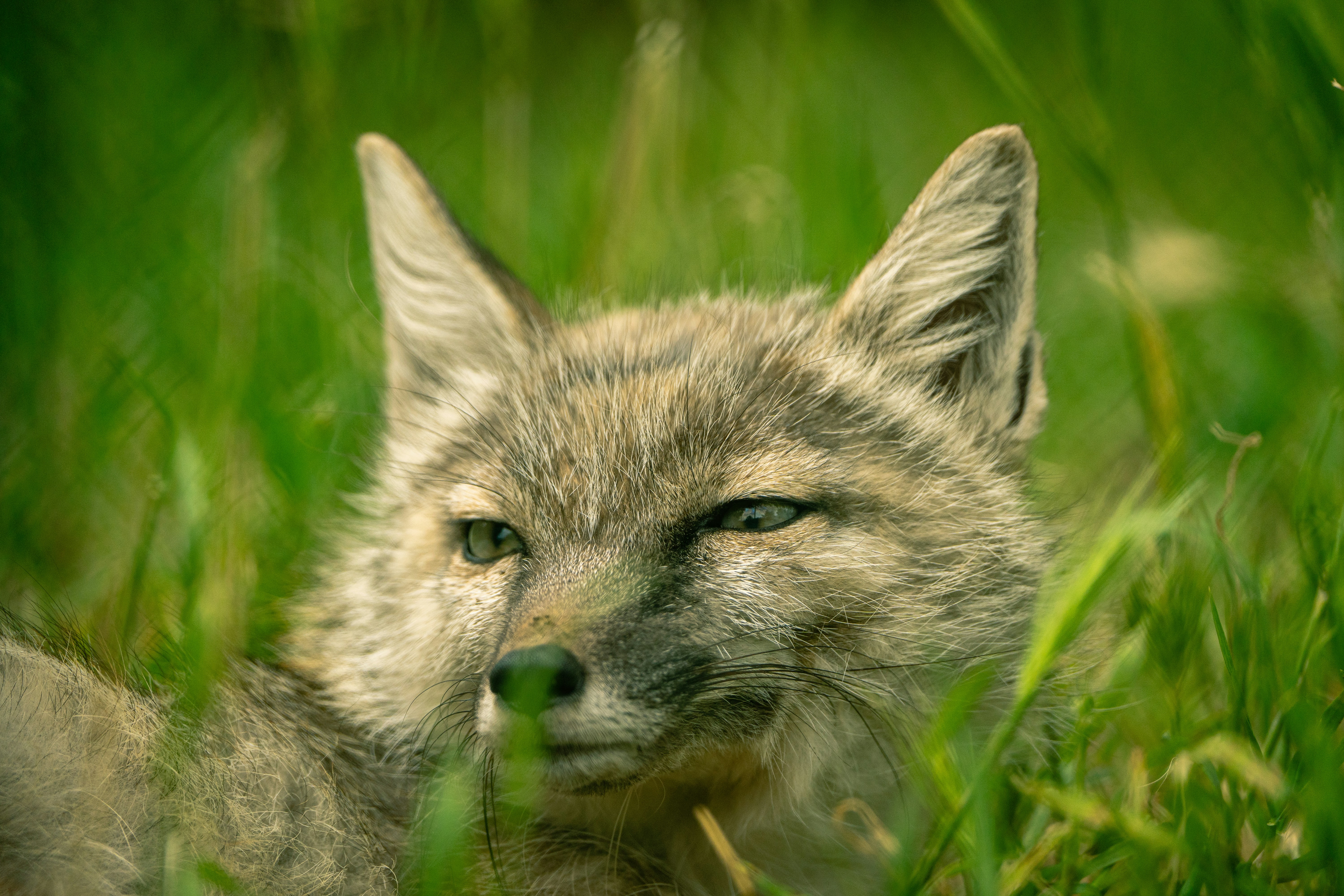 Photo by go_marcos_lira