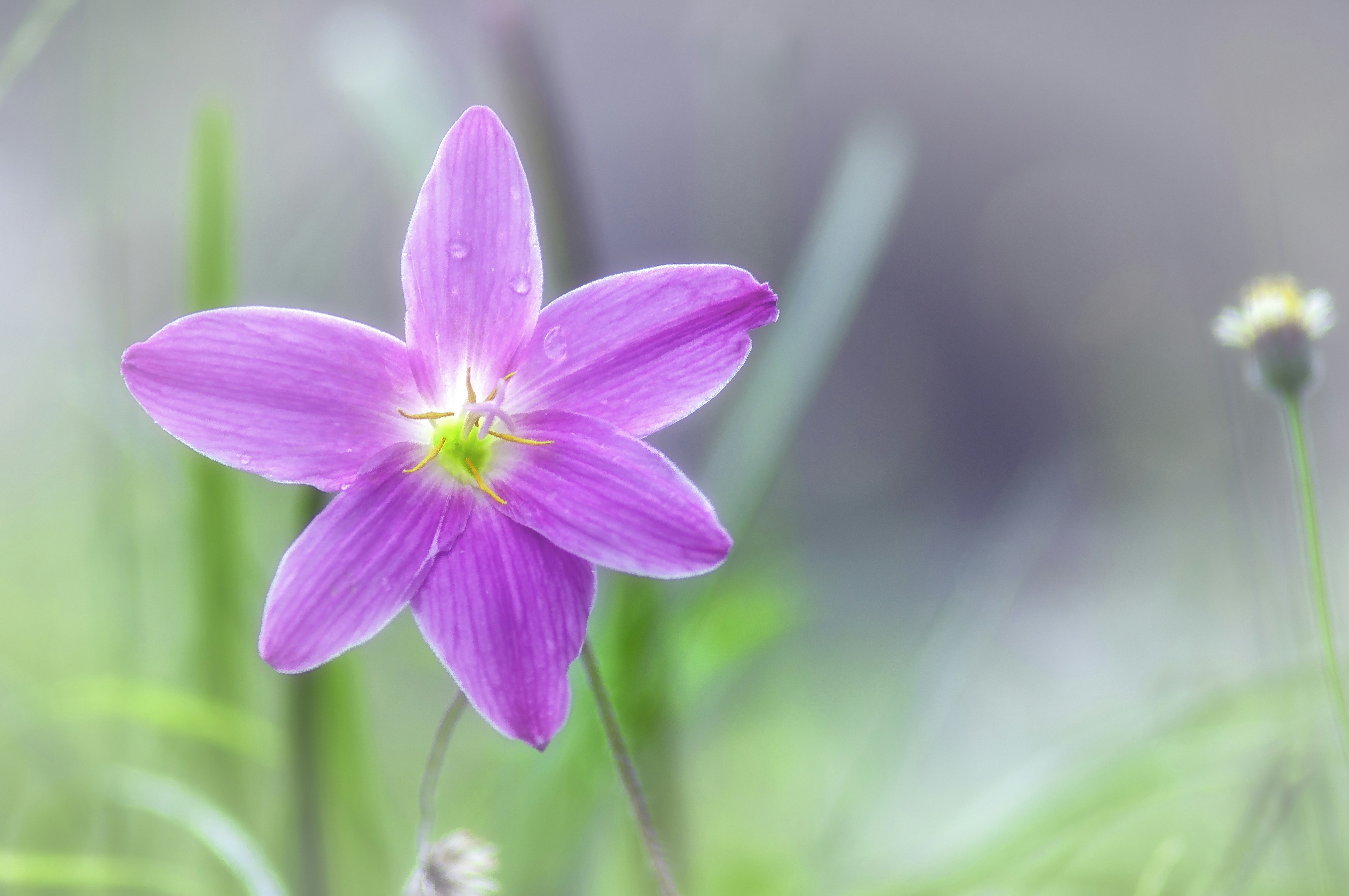 Photo by thom_oxford