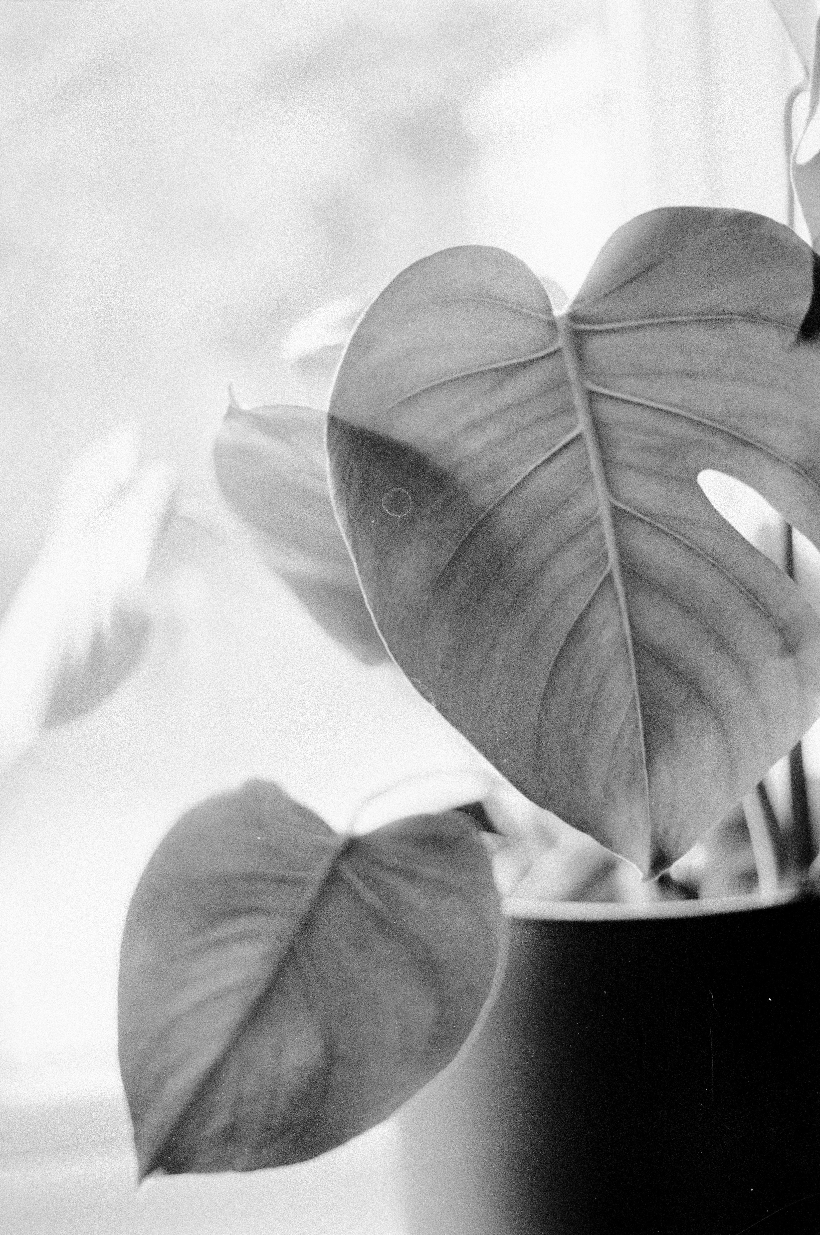 Photo by anniespratt