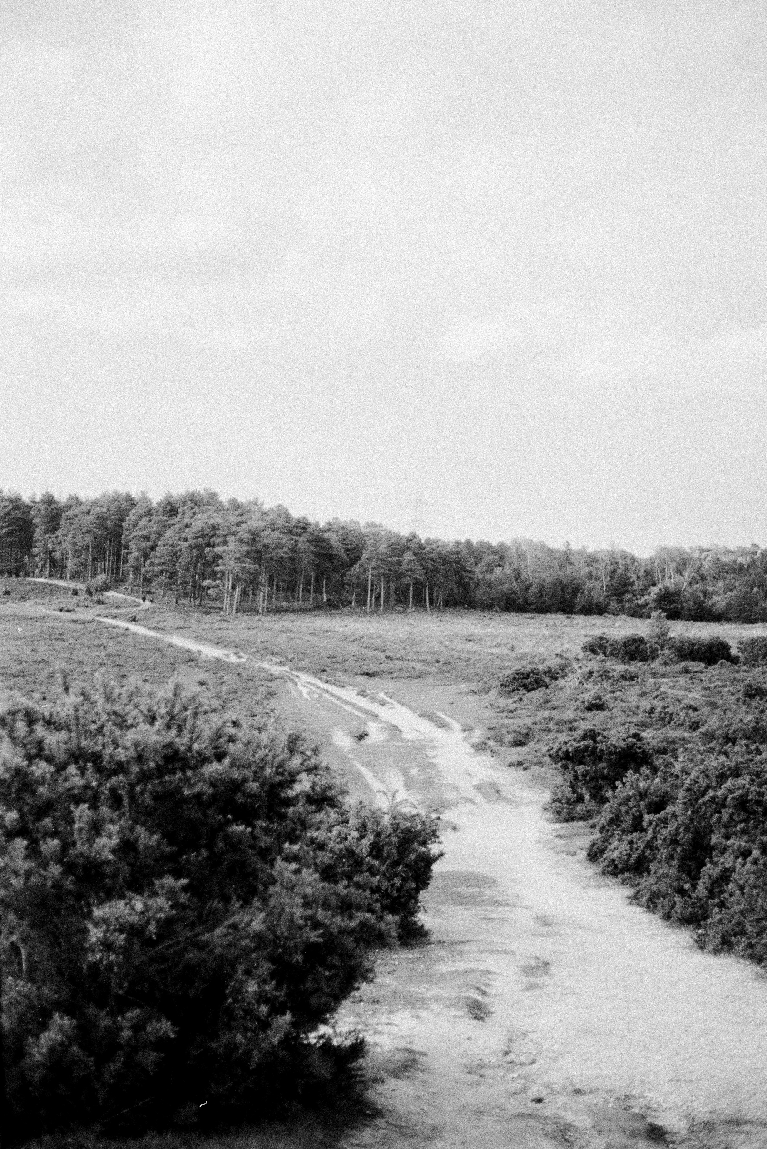 Photo by anniespratt