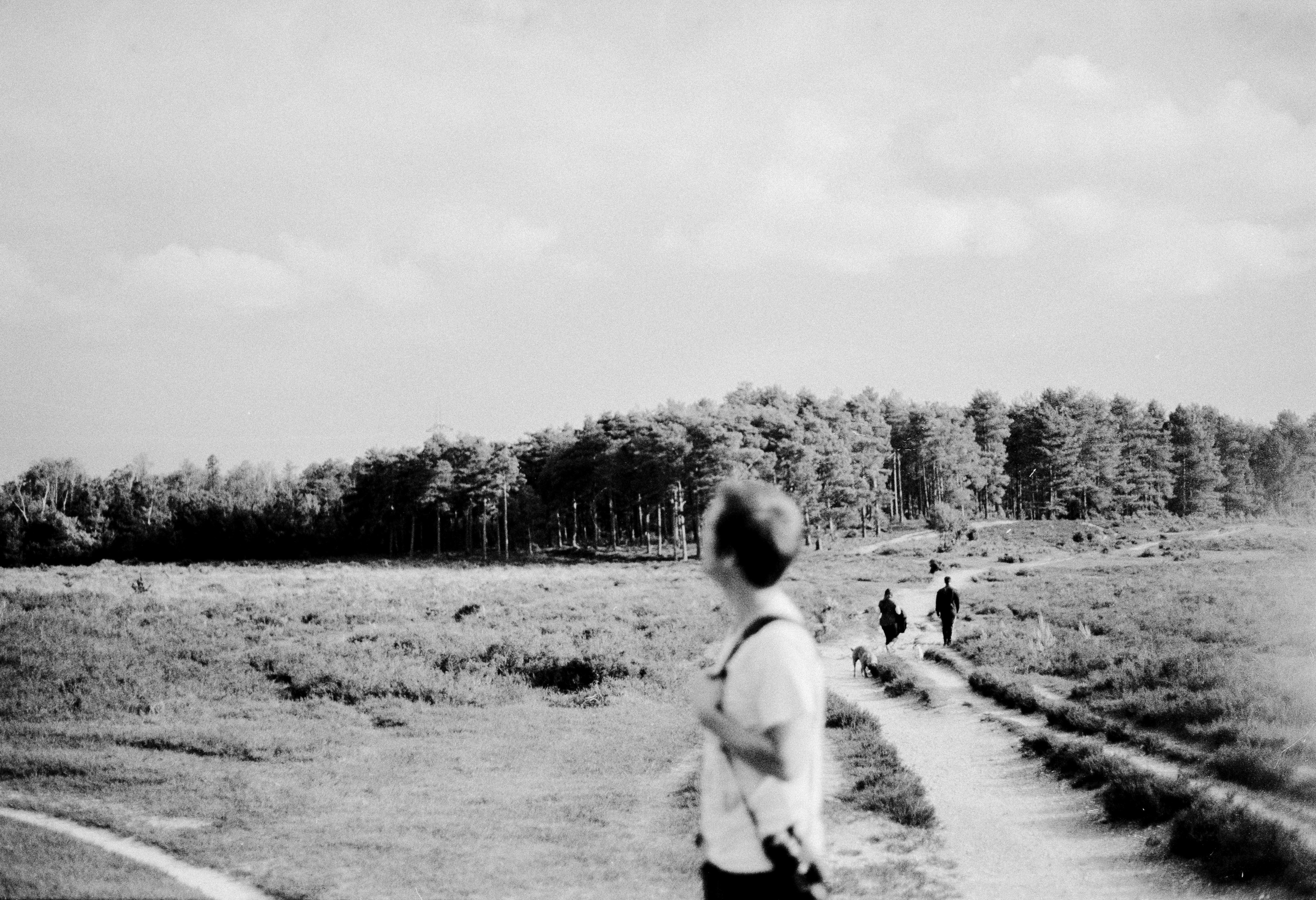 Photo by anniespratt