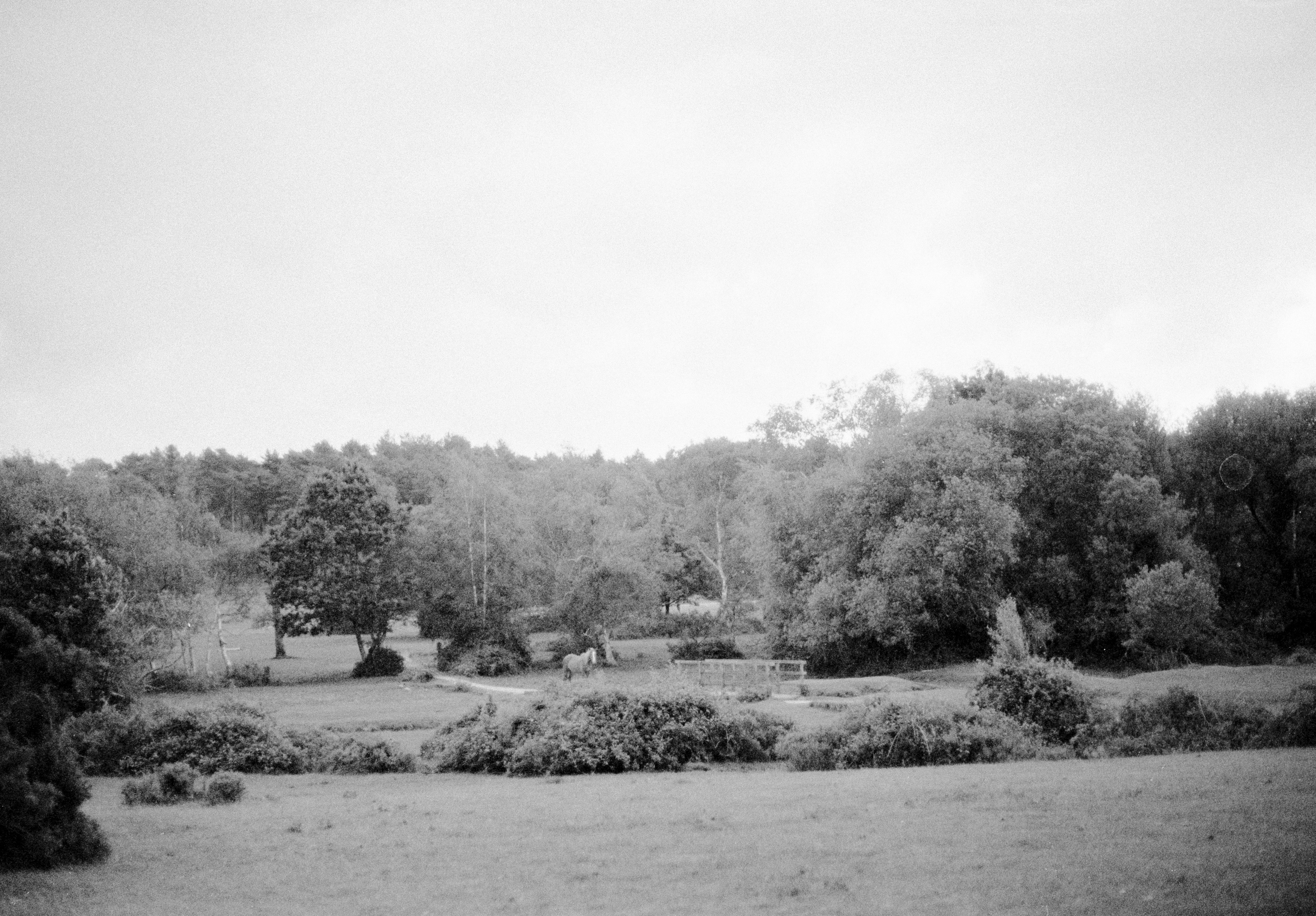 Photo by anniespratt